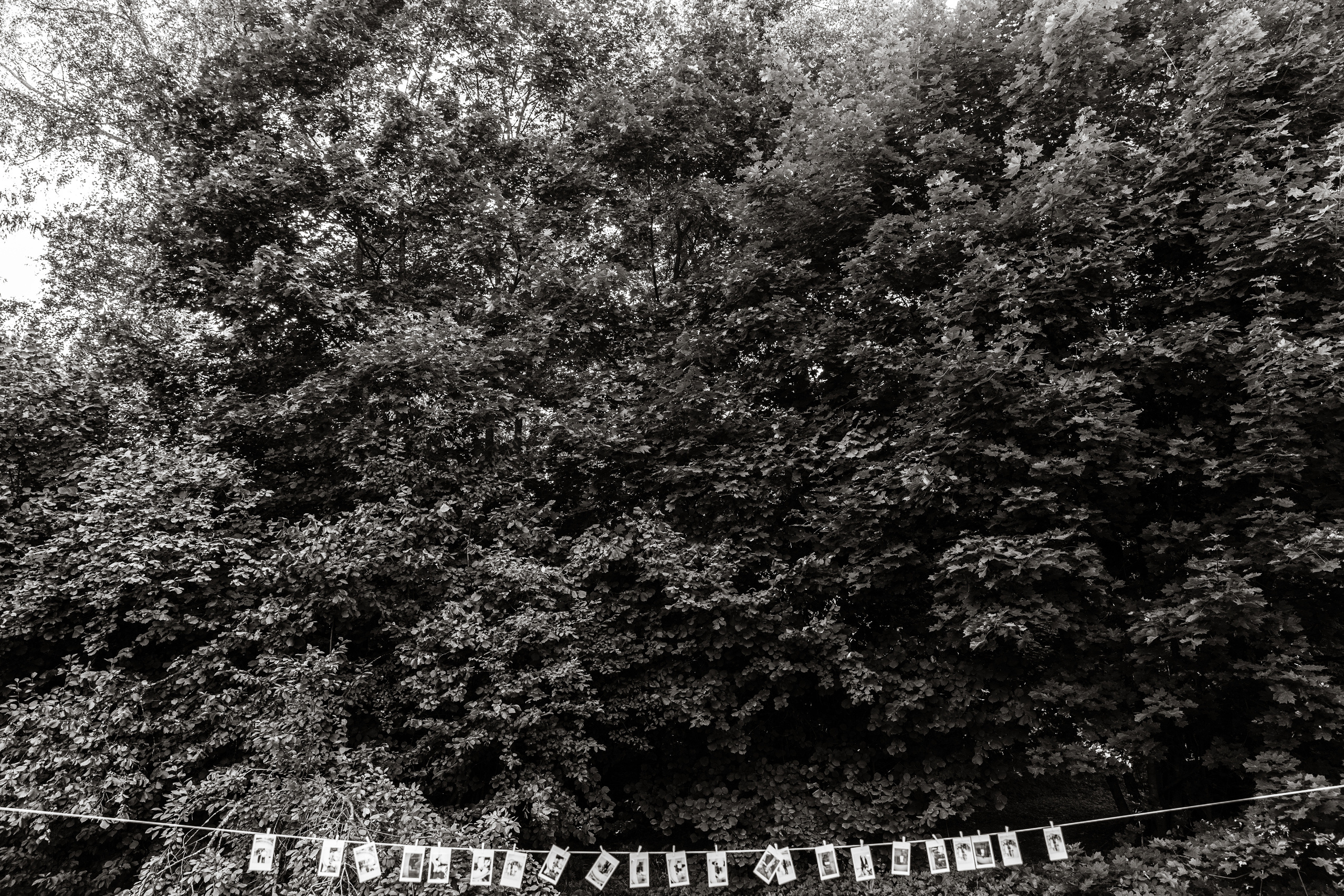 Алексей и Даша. Свадебные фотосессии в Москве. Фотограф Сергей Ржевский