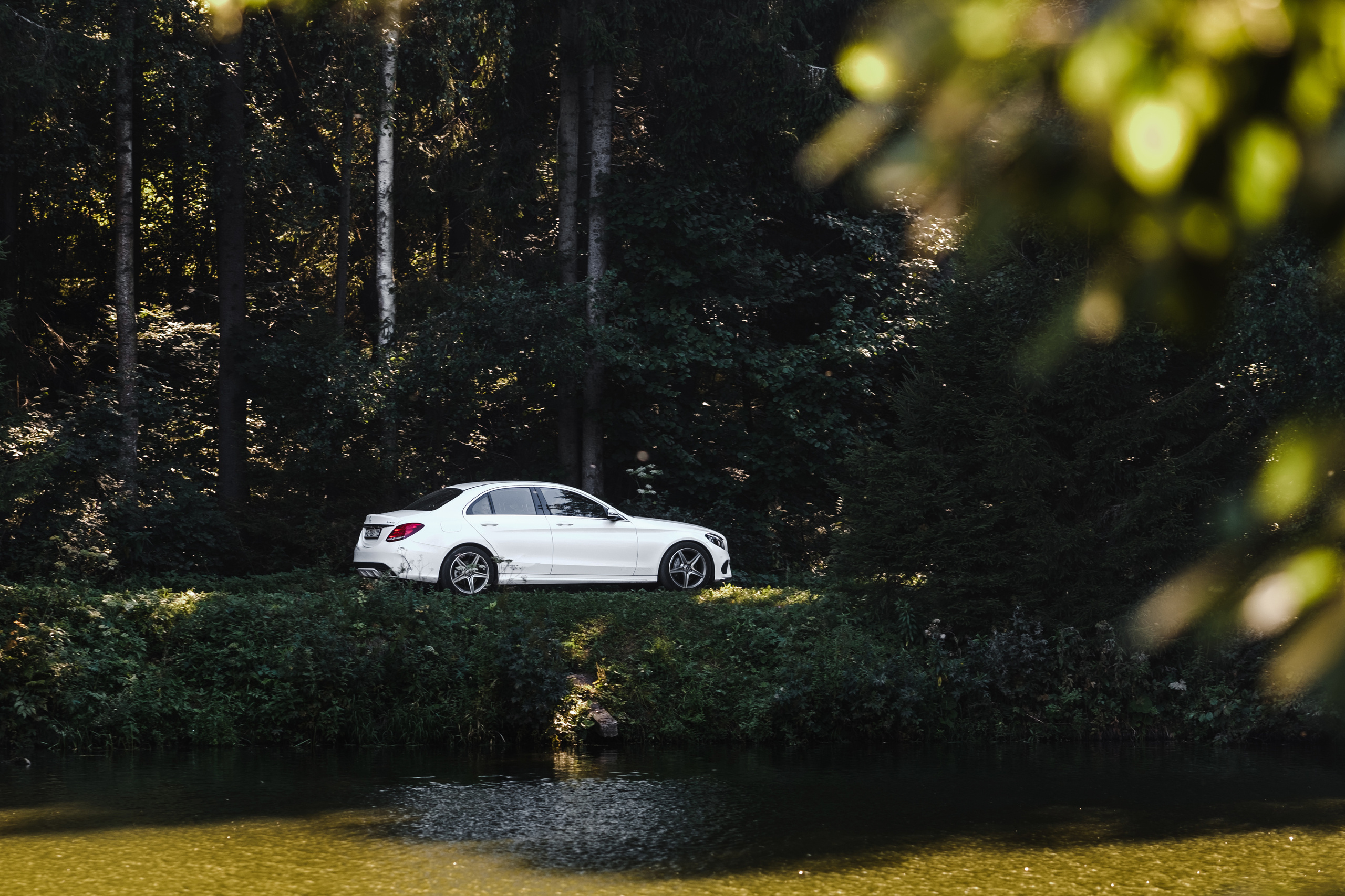 Алексей и Даша. Свадебные фотосессии в Москве. Фотограф Сергей Ржевский