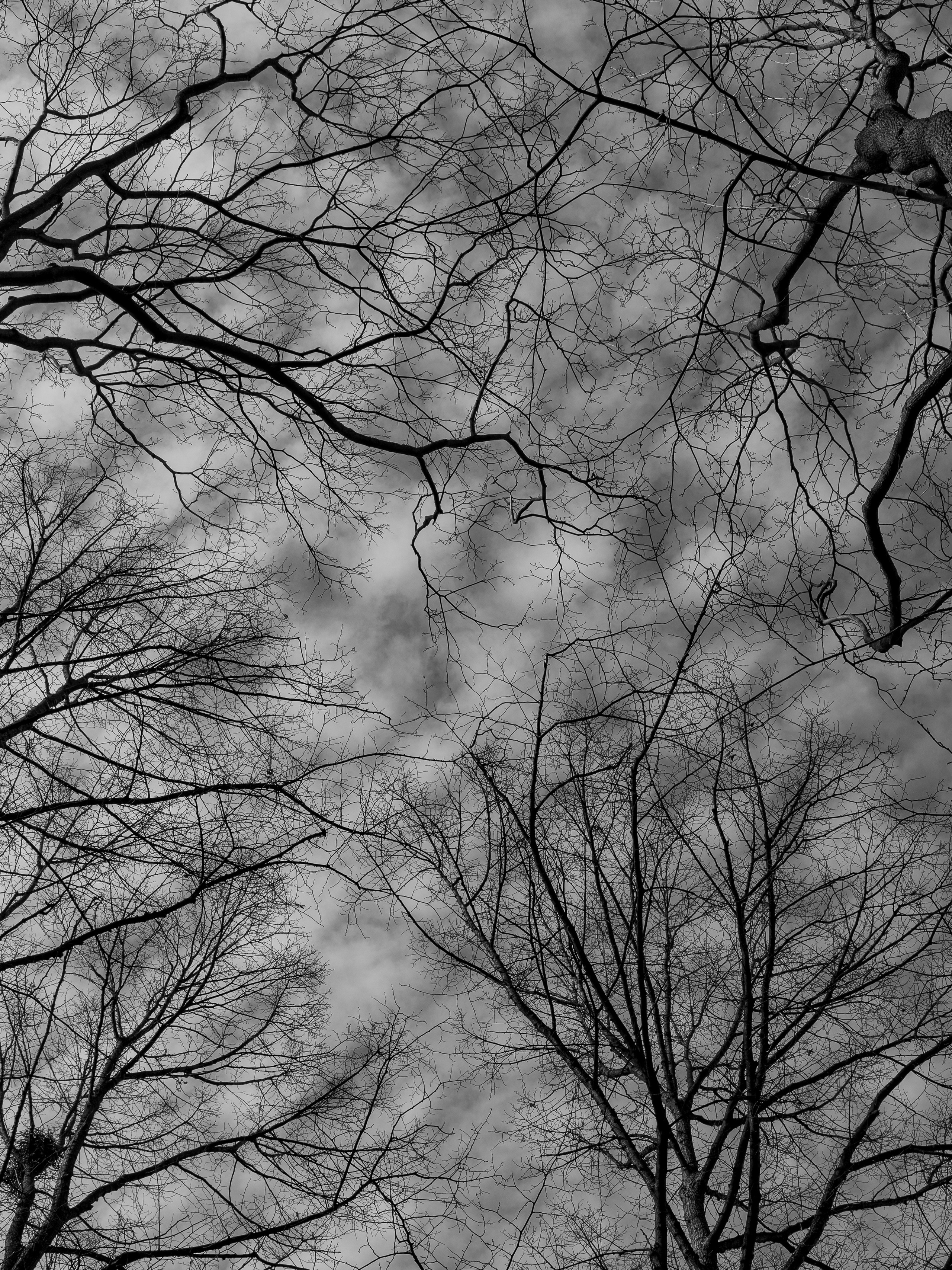 Настя, Сёма, Ярик. ФОТОГРАФ Любовь Скок. Москва