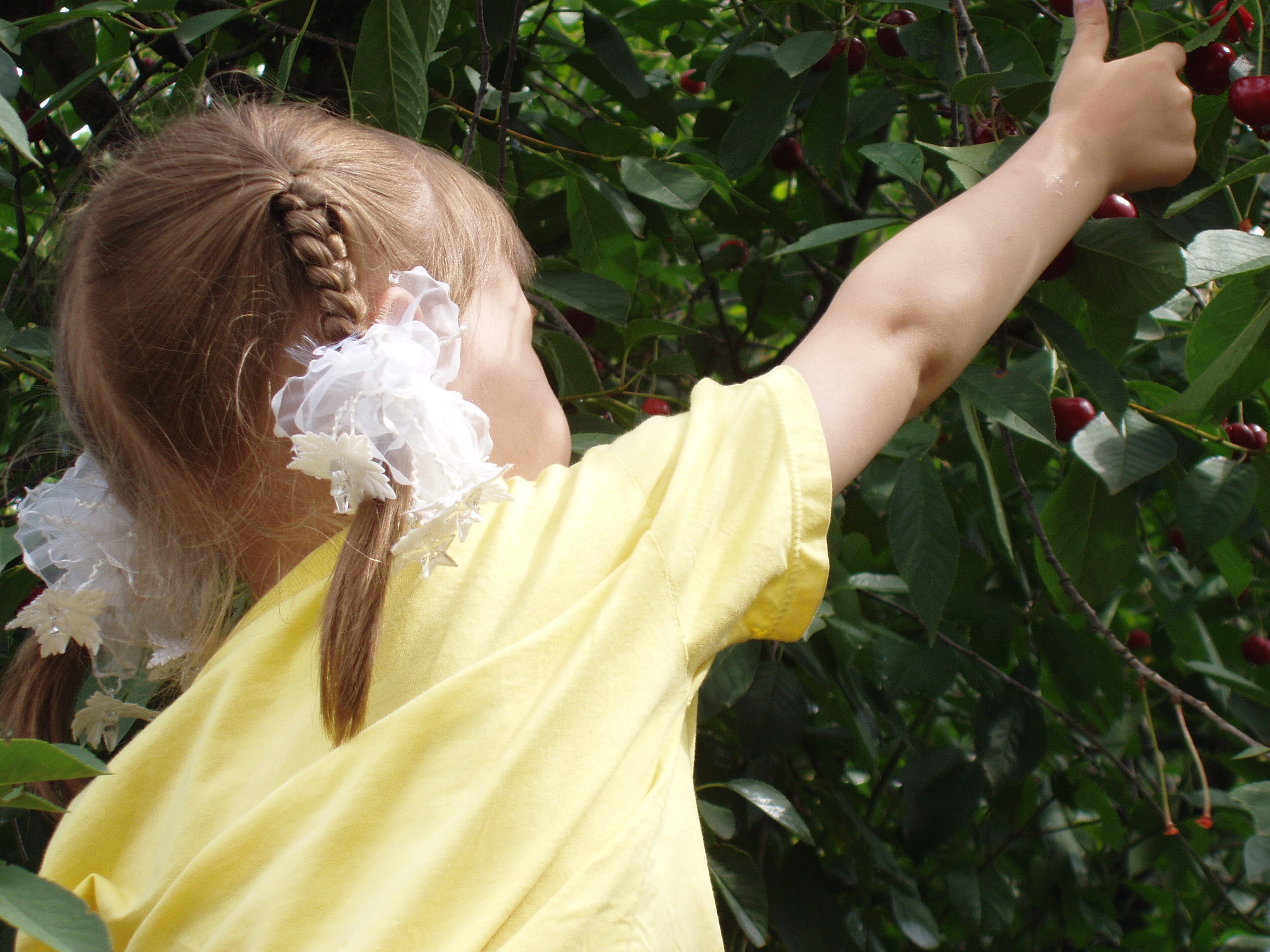 Отпуск 23.06-24.07 (Белора, гора Ахун, Сочи, Красная поляна, Украина). Семейный, Свадебный фотограф СПБ Питер— Романова Екатерина