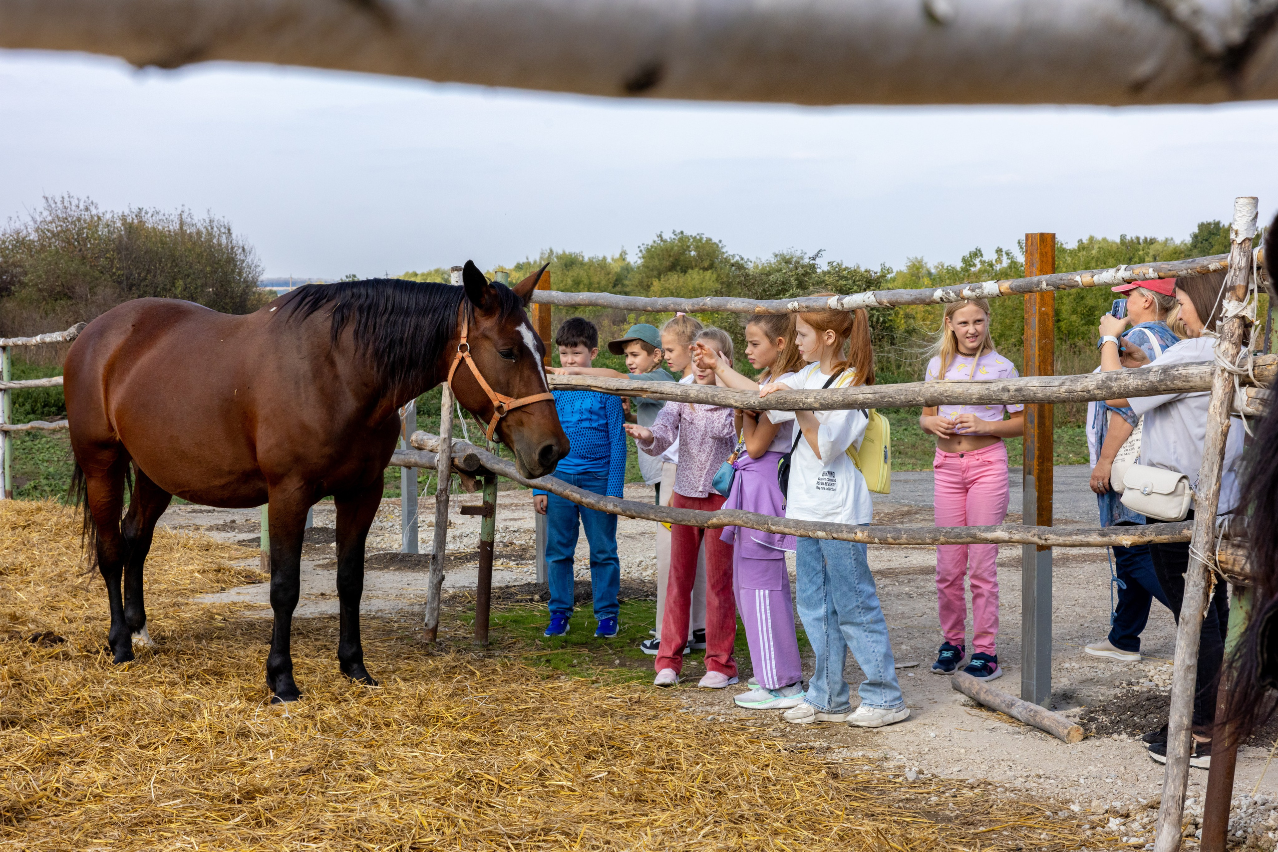 Поездка на поле Кулеково. Фотограф в Туле Крупский АнДРей. Фотостудия «КАДР71» в Туле