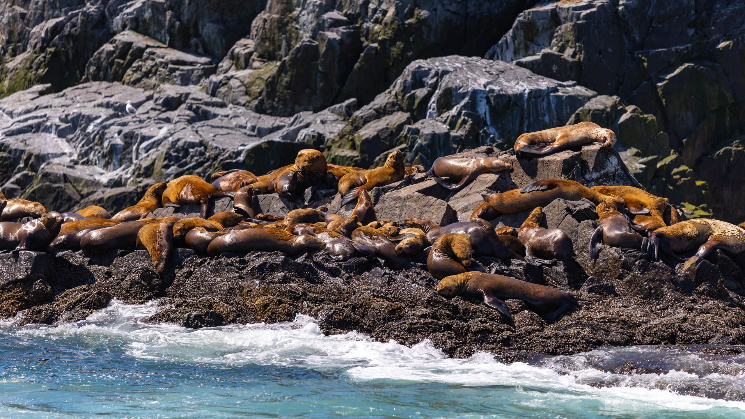 2023 07 Камчатка. Фотографии