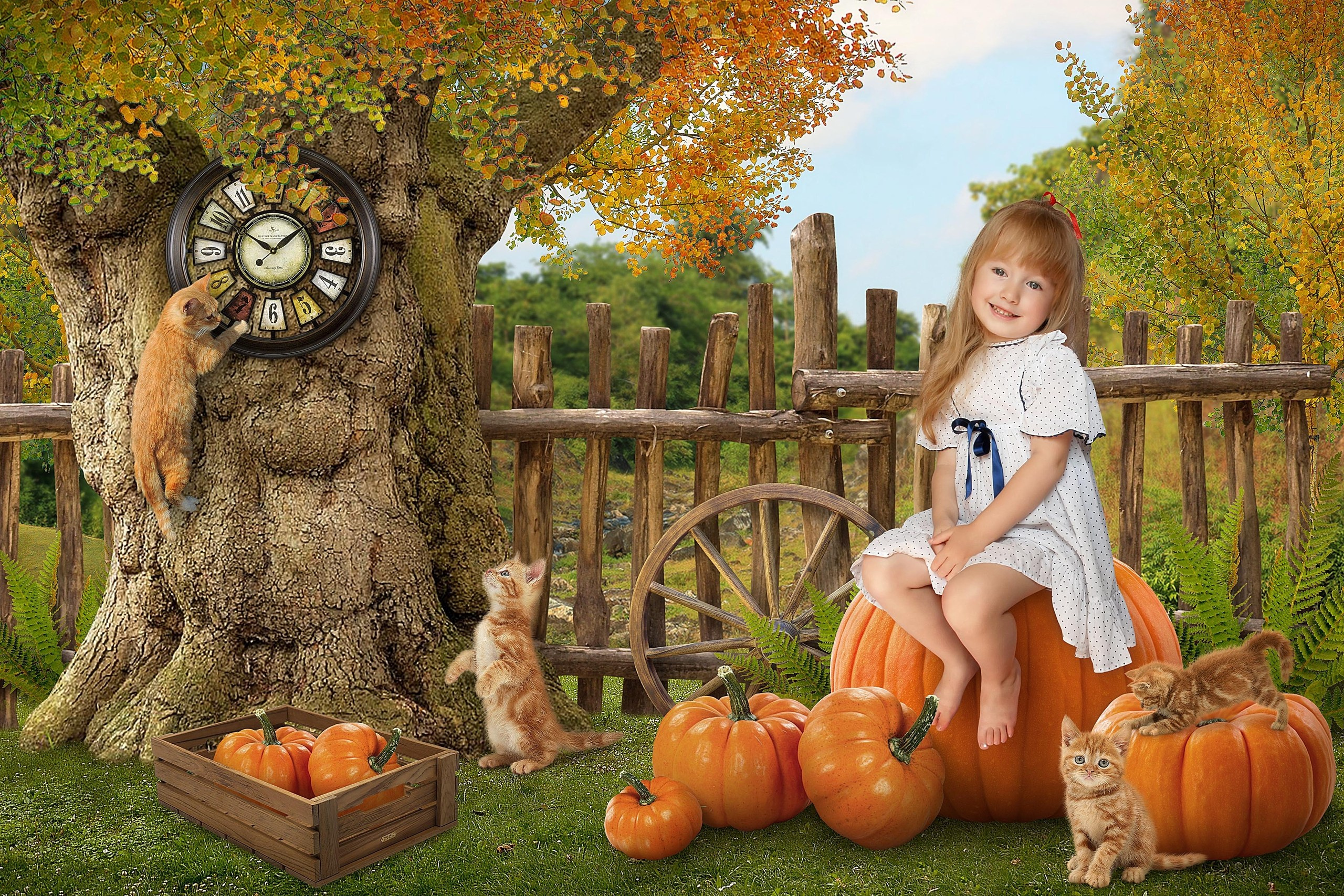 ОСЕНЬ. Выпускные фотокниги, фотосъемка, видеосъемка в Челябинске и области