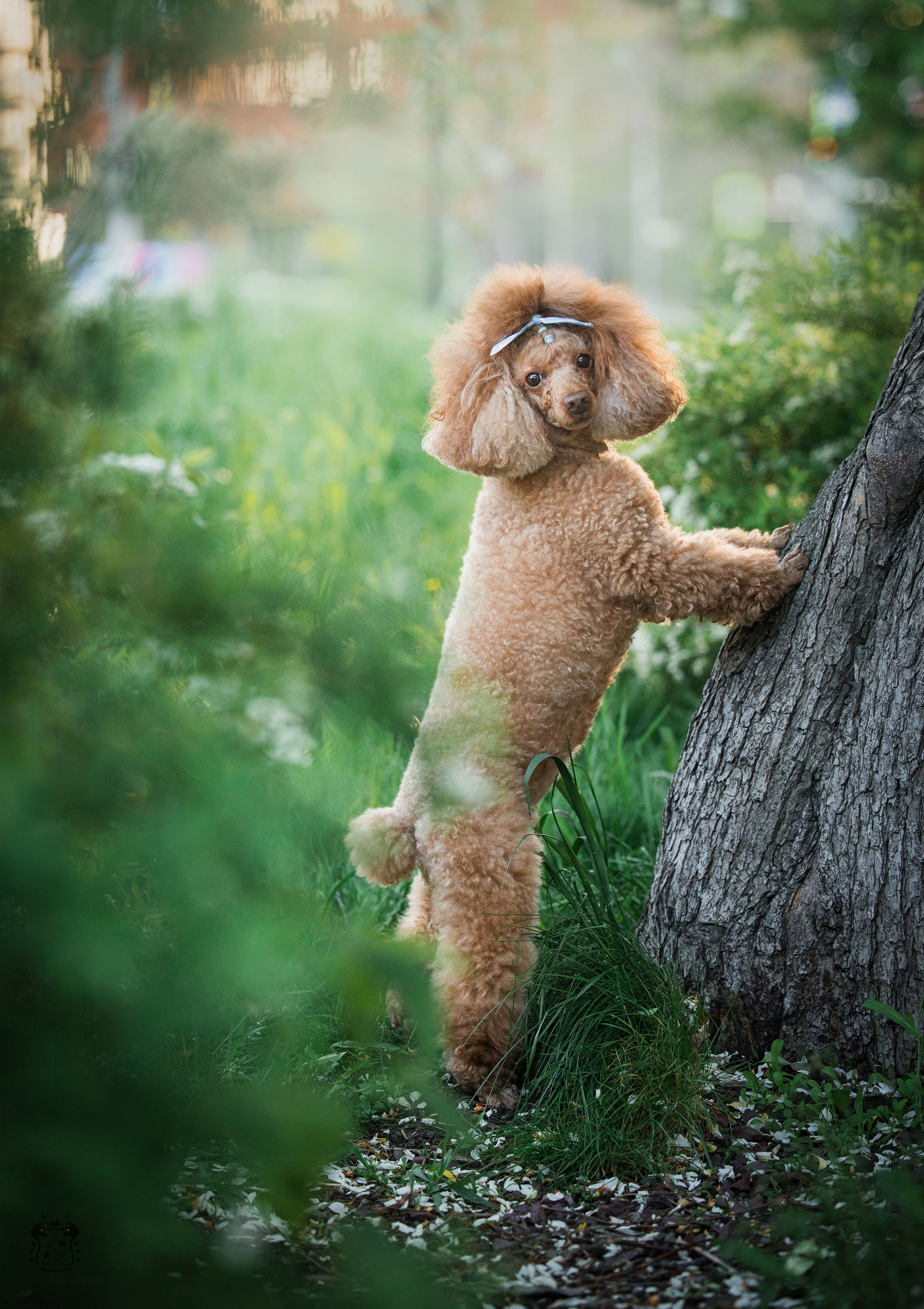 Портфолио. Фотограф-анималист в Екатеринбурге Марина Шишкина
