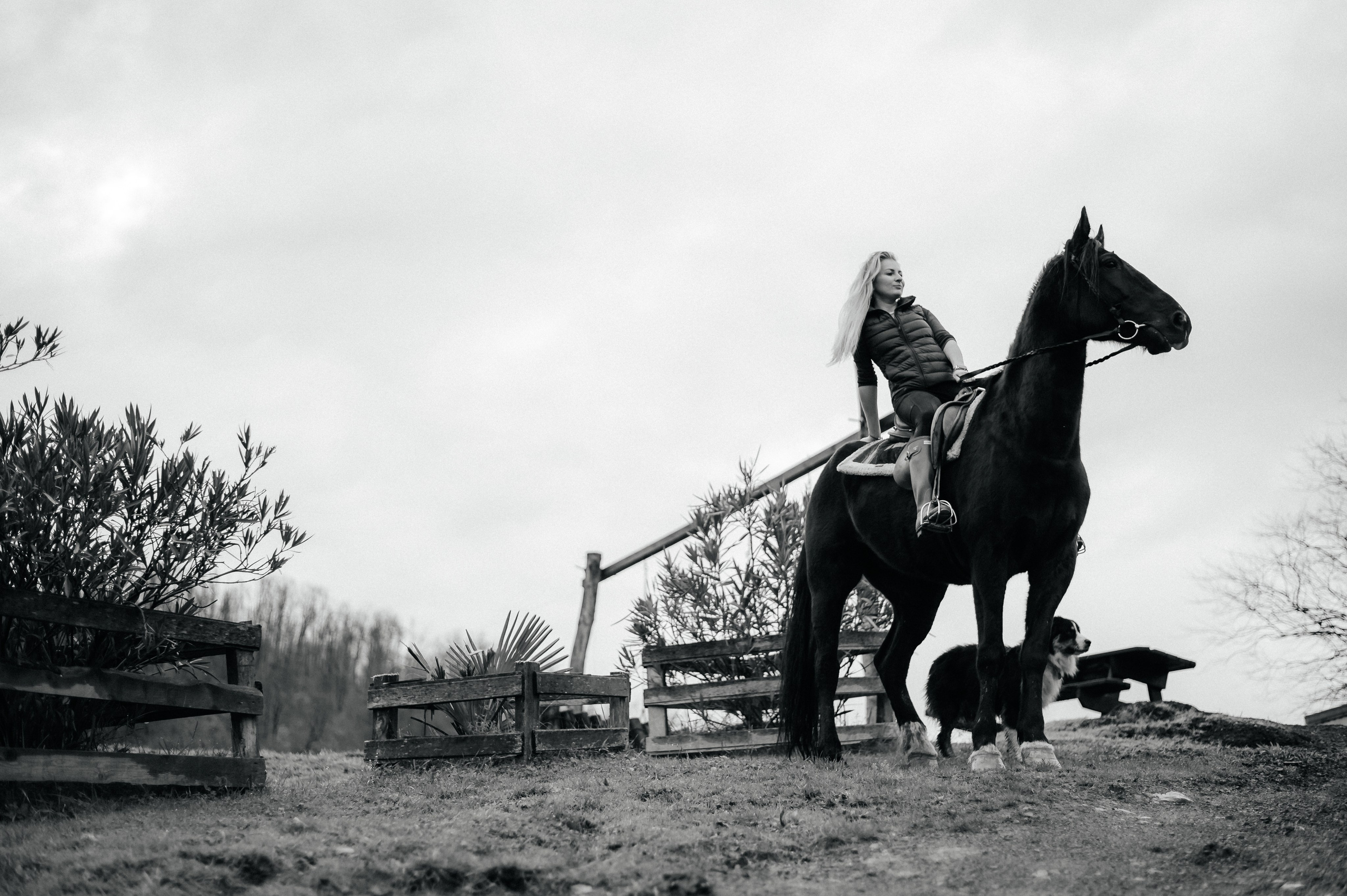 Из Швейцарии на конюшню в Сочи. Фотограф Сергей Суслов | Сочи