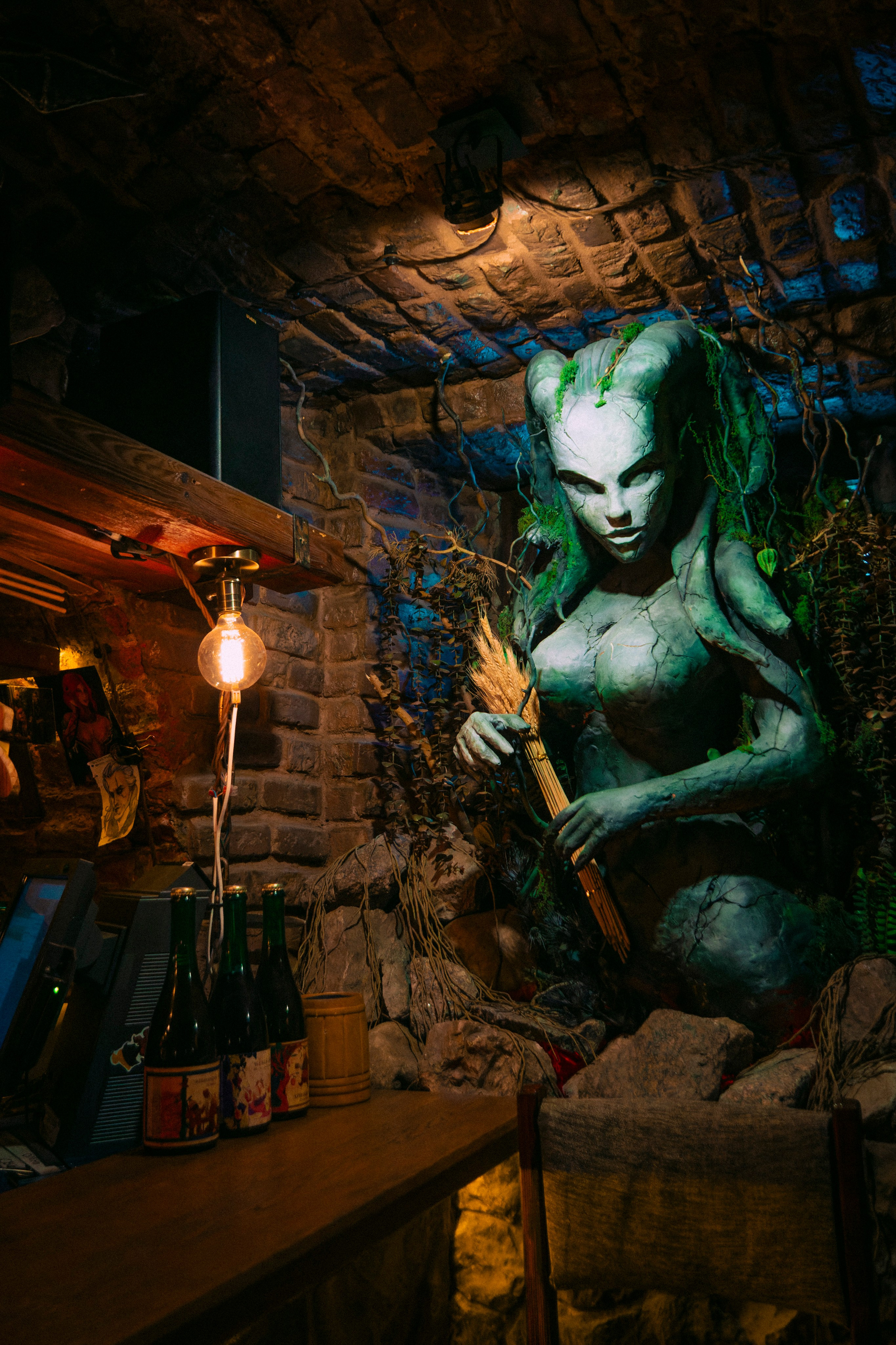 Таверна «Белый волк». Плак или Квак