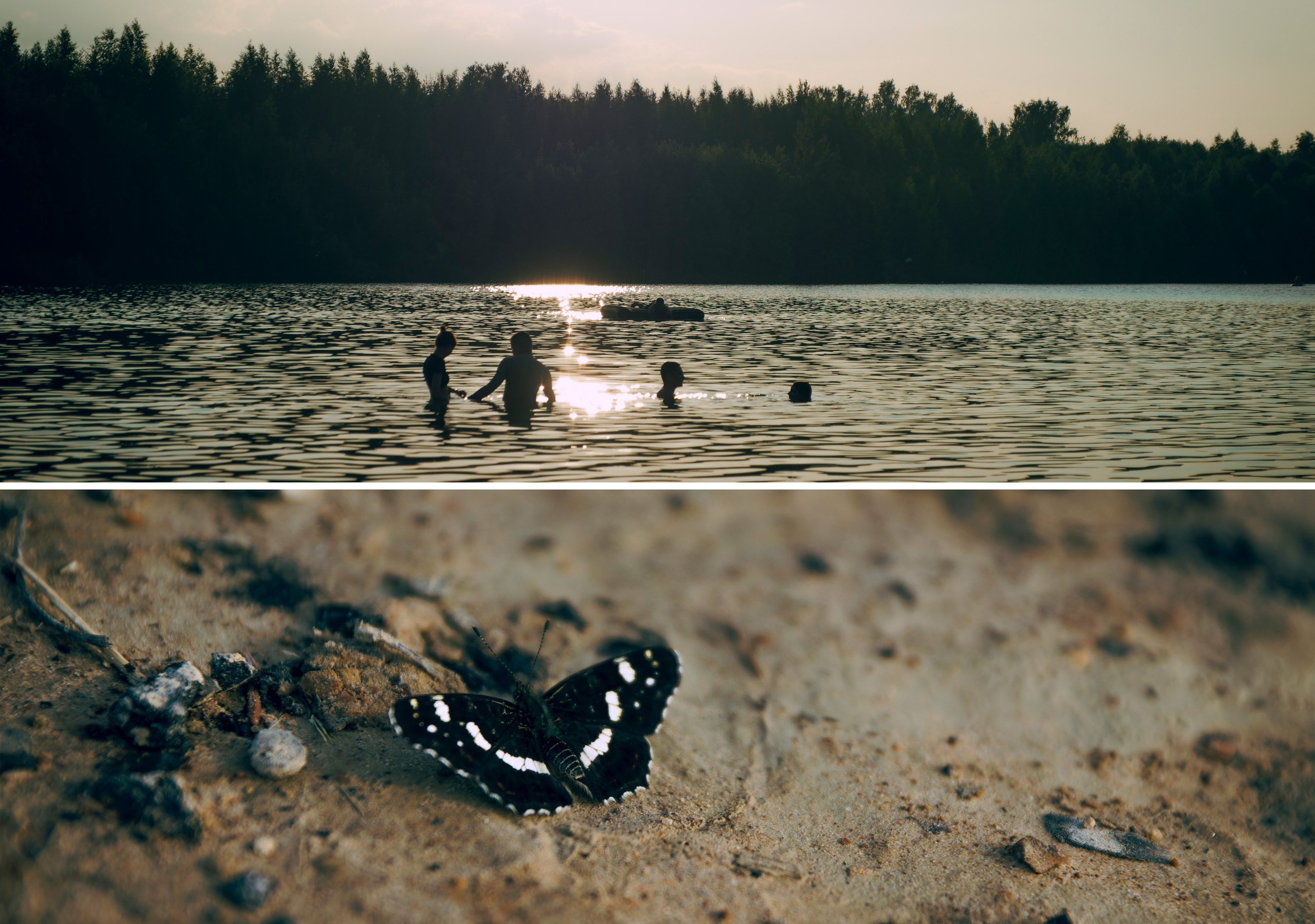 Плак или Квак