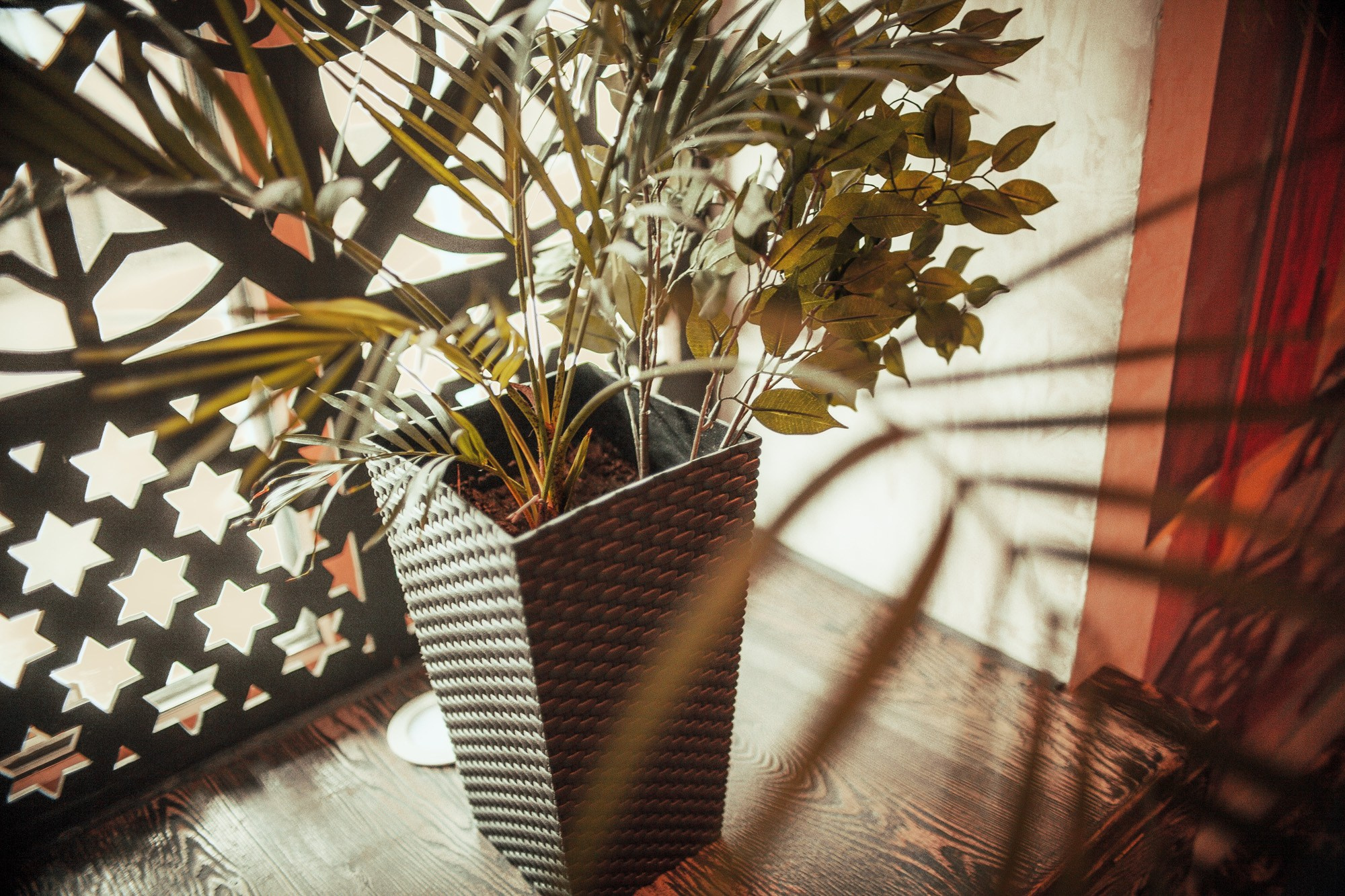 «Шеш беш». Ваш репортажный фотограф Артемий Антонов