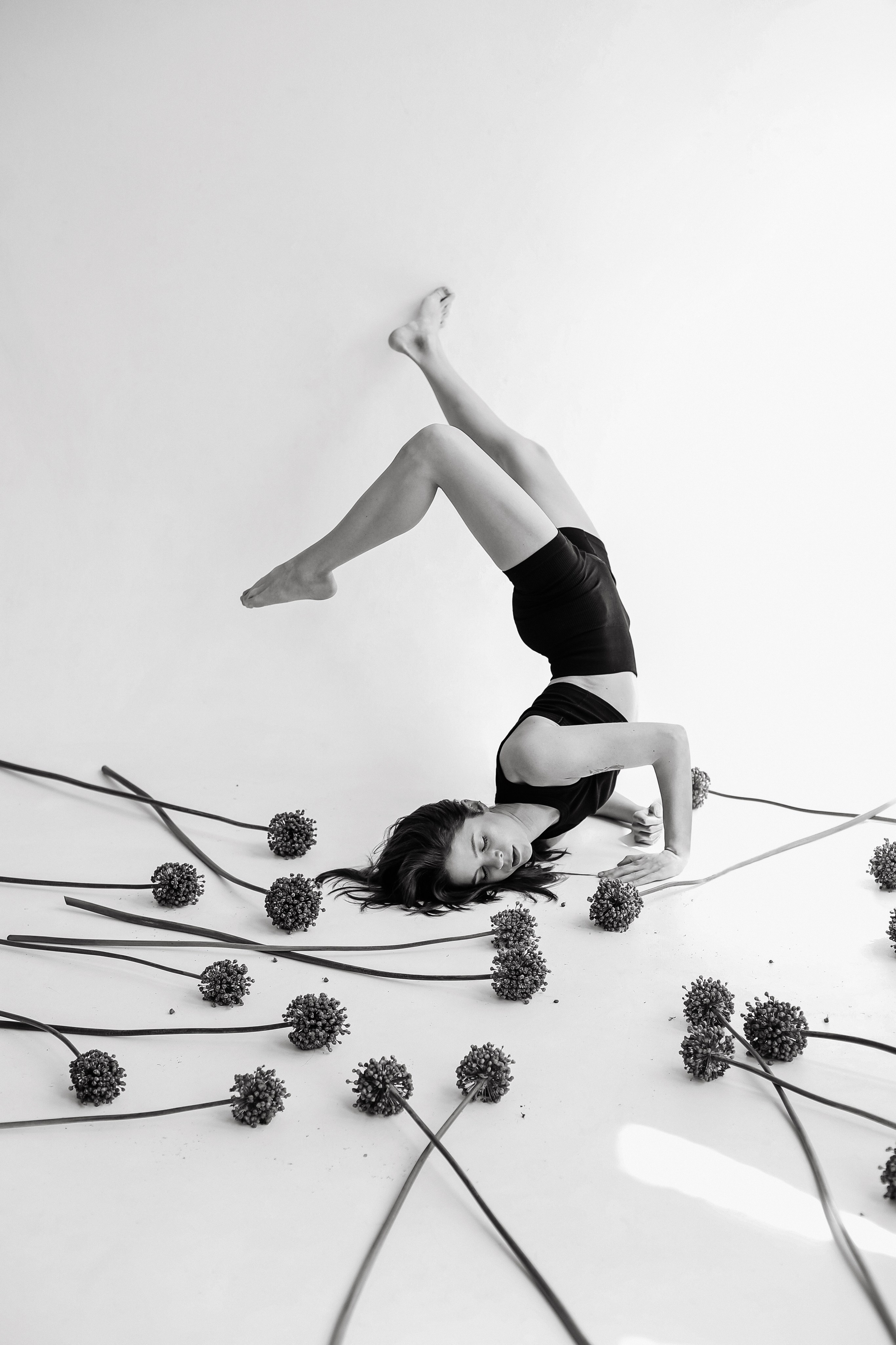 СОФЬЯ. Главная