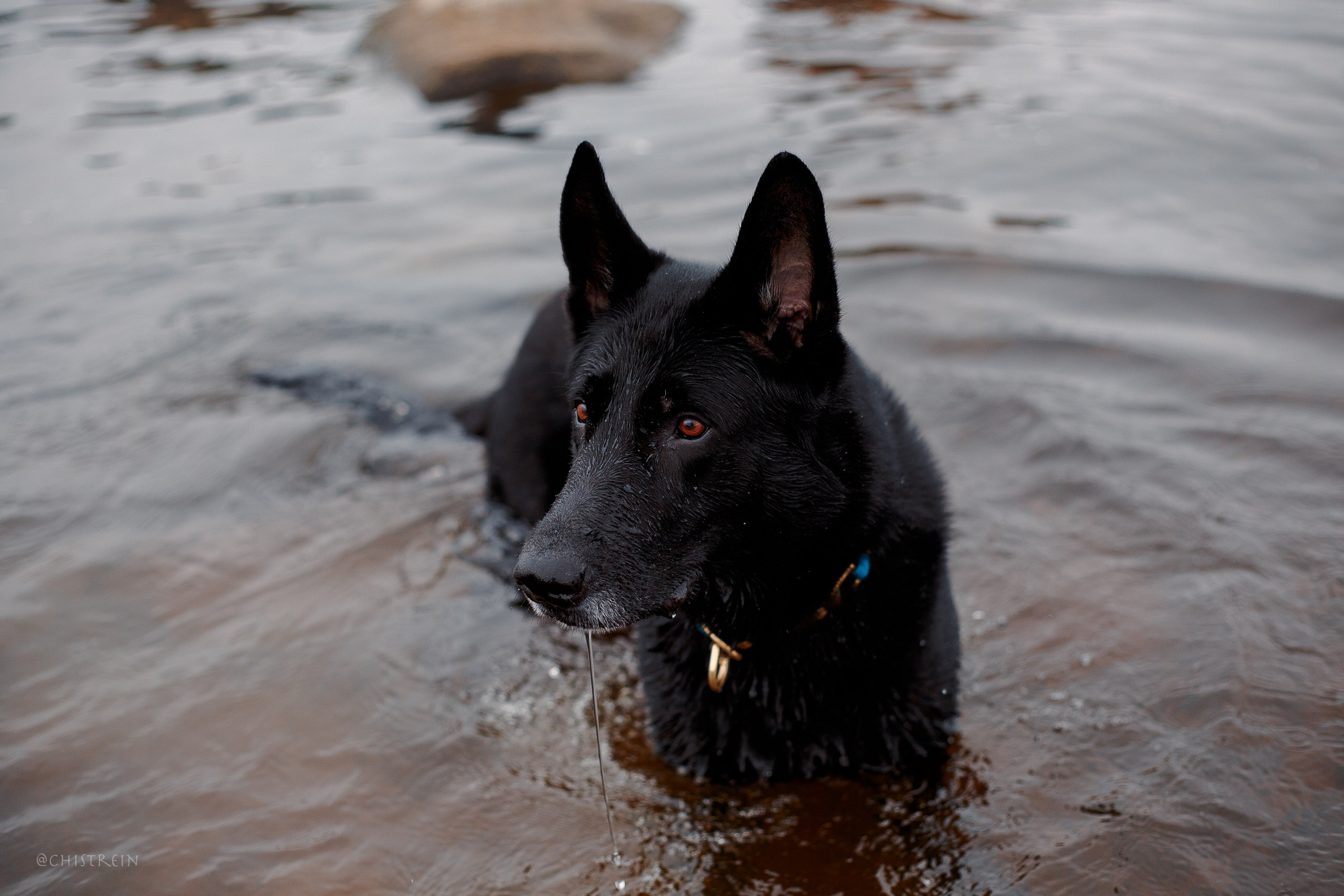 Дальний пирс. Фотограф-анималист Наталия Чистюхина в г. Сосновый Бор и ЛО