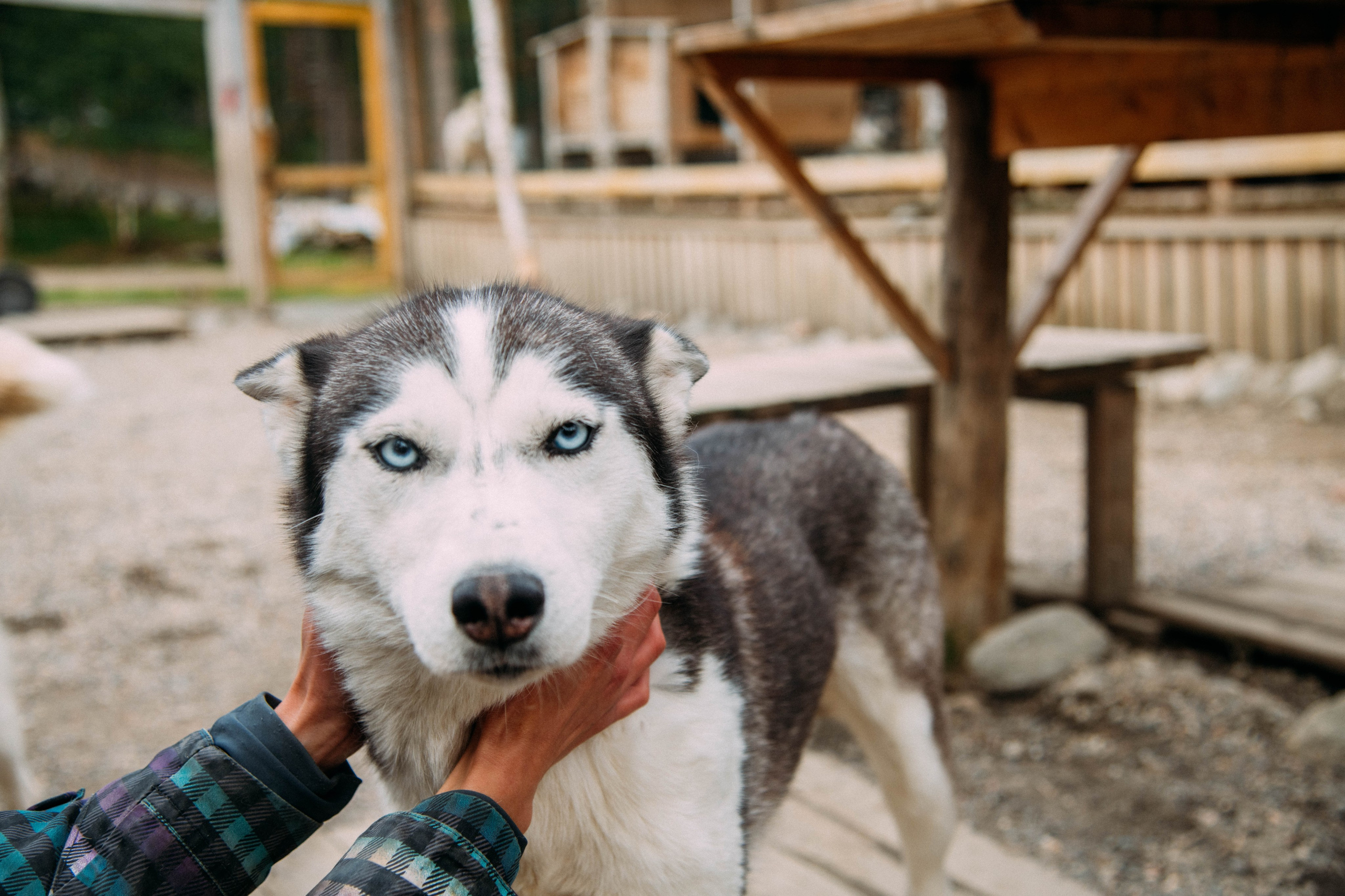 Кольский полуостров. Фотографирую для себя, своей семьи и друзей!