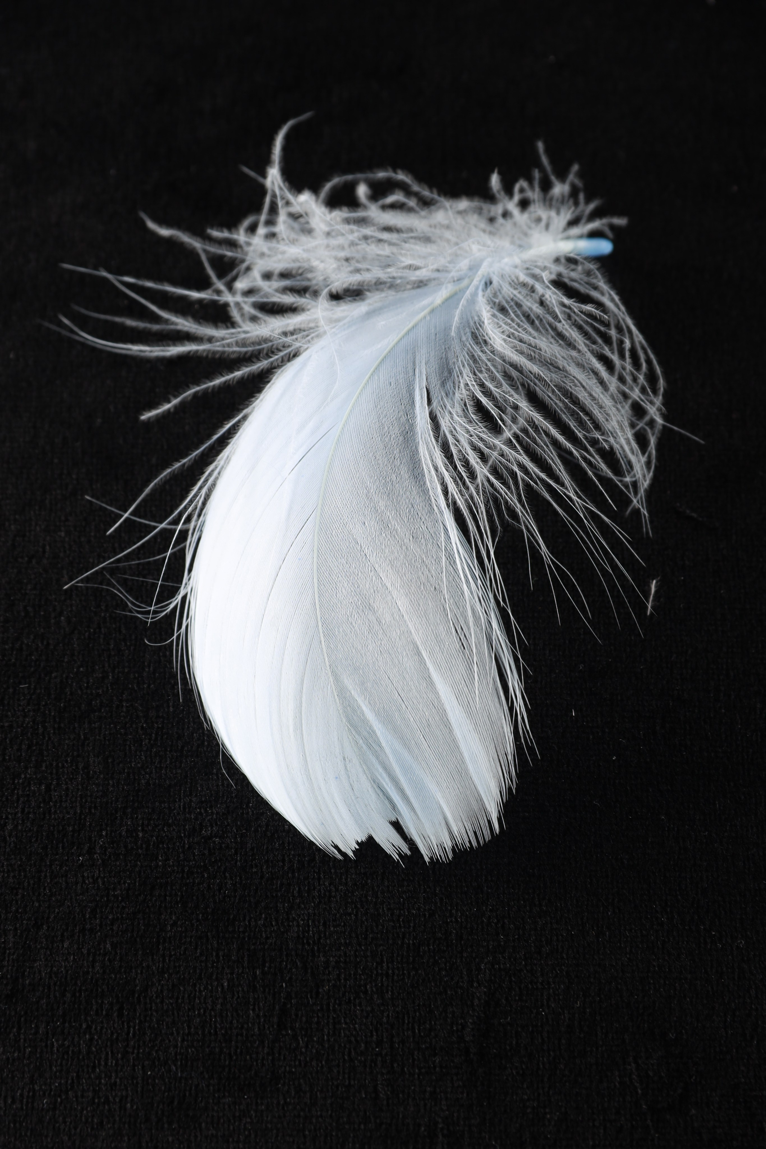 Предметная съемка. Фотограф Светлана Заплатина