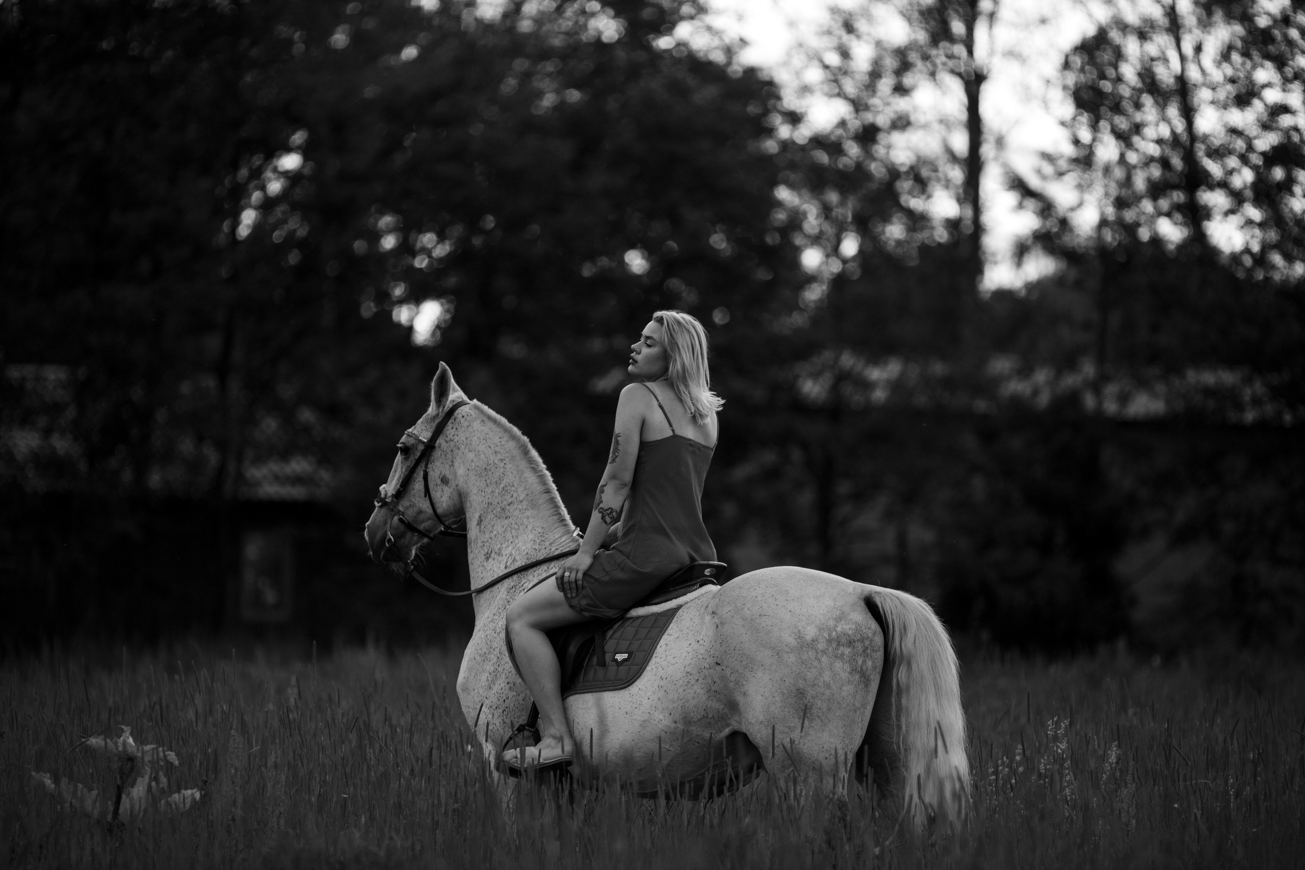 С лошадьми. Фотограф в Москве и в Московской области Сандра