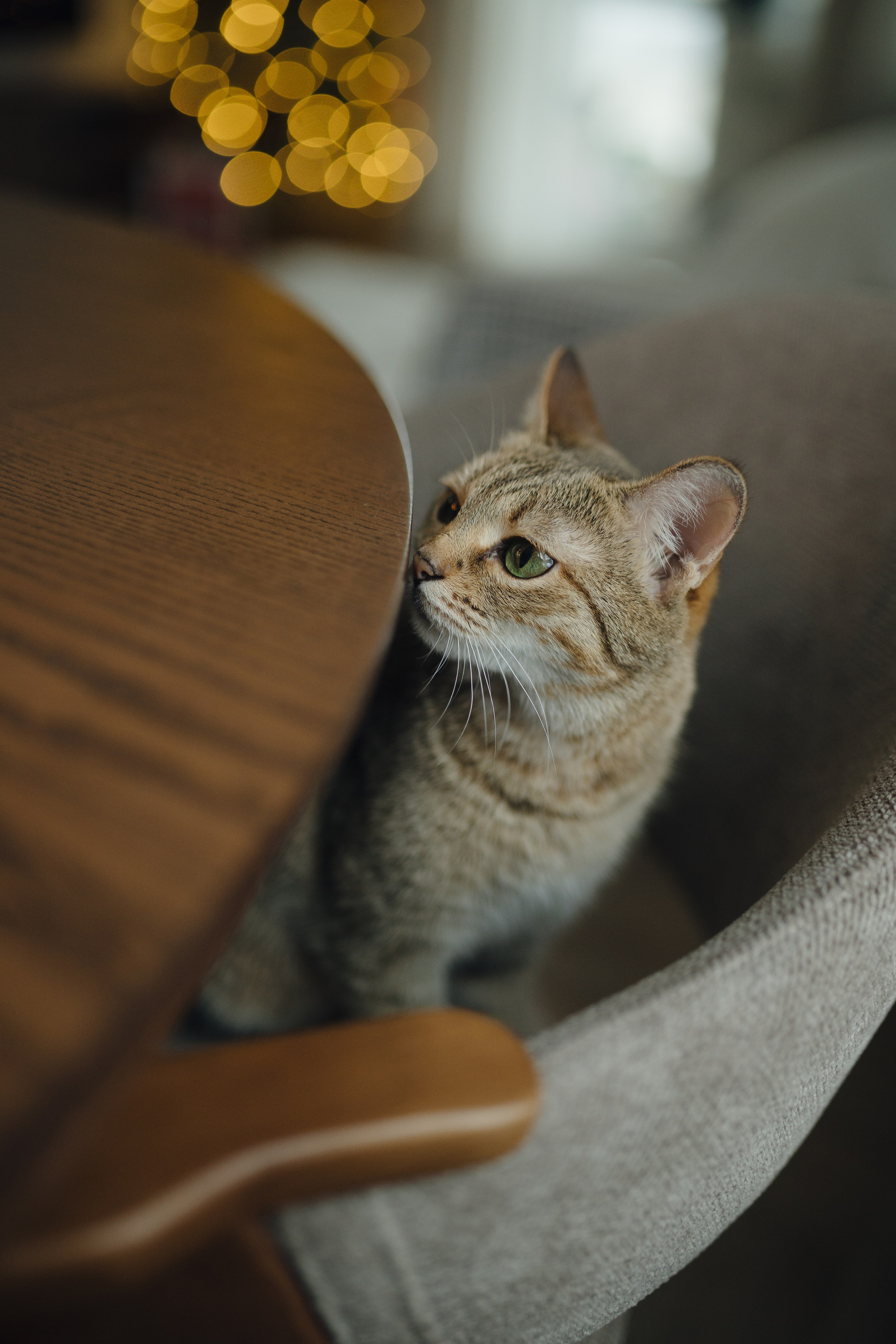 E & A. Свадебный фотограф Липецк Москва Анна Невзорова