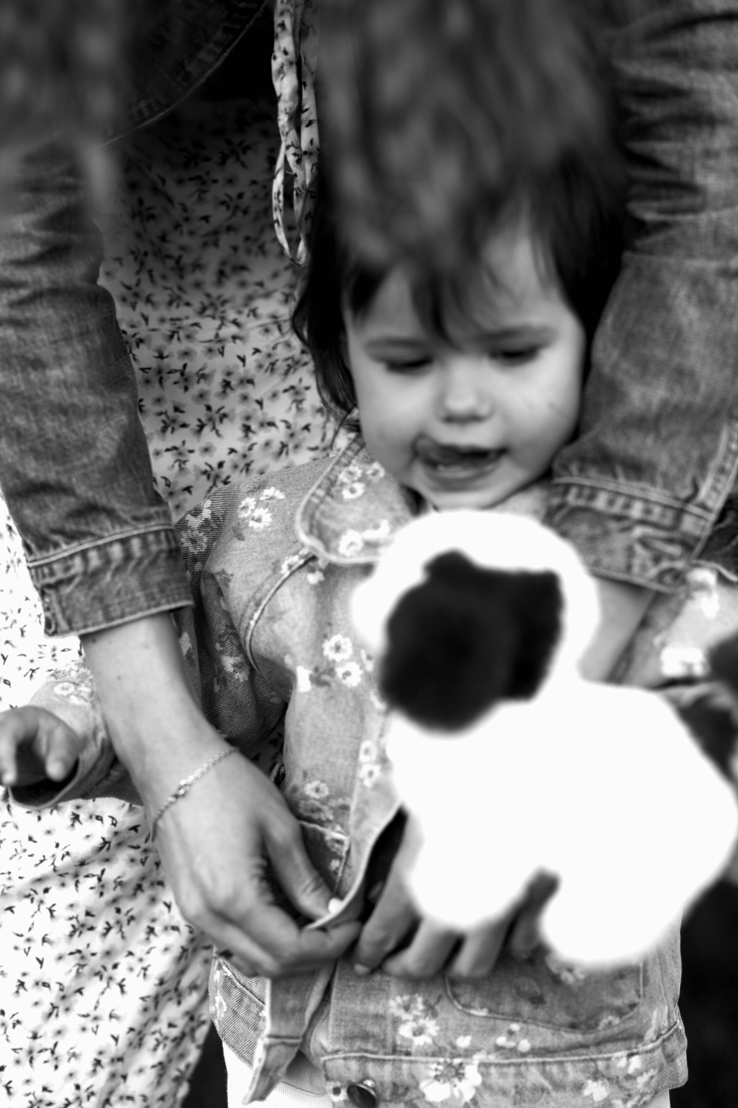 Семейная история и Булка. Искренний фотограф