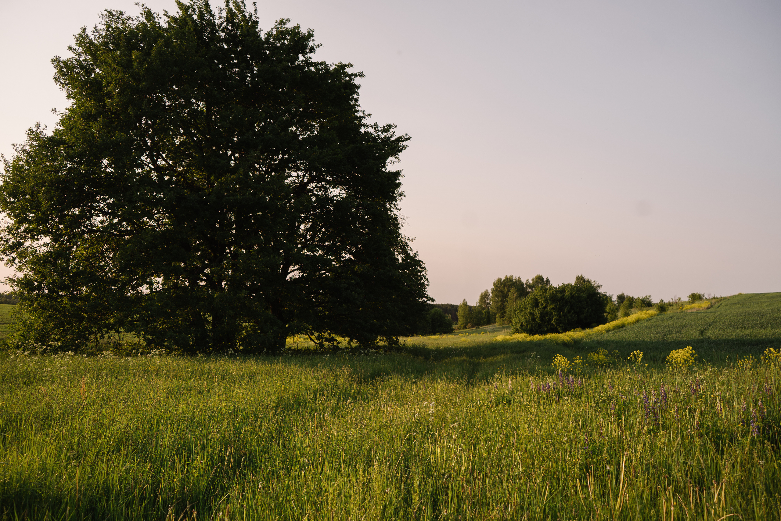 Поля, Маша и Дима. Искренний фотограф