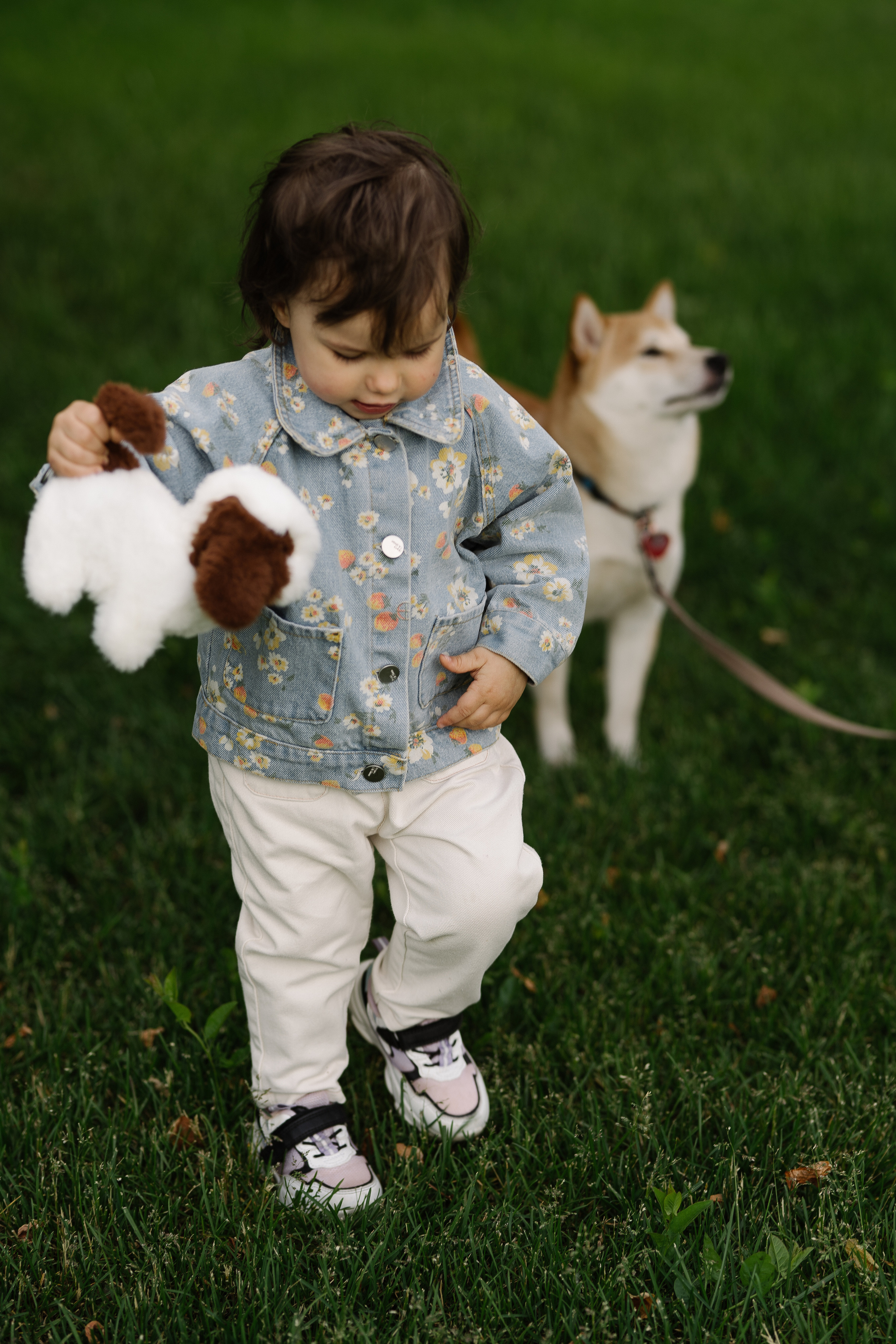 Семейная история и Булка. Искренний фотограф