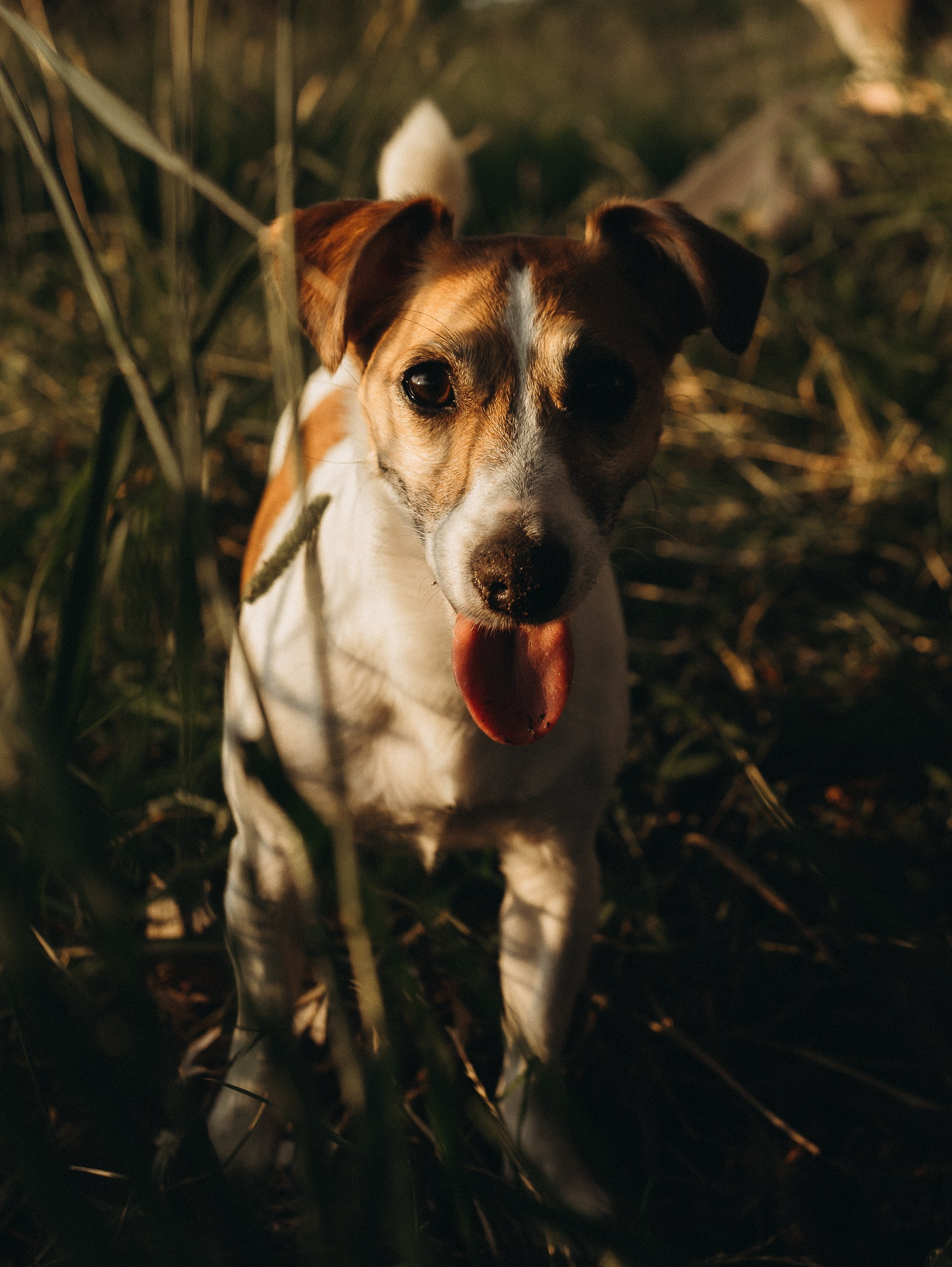 ♡. Фотограф во Владимире, Москве и Суздале-Виктория Чистякова