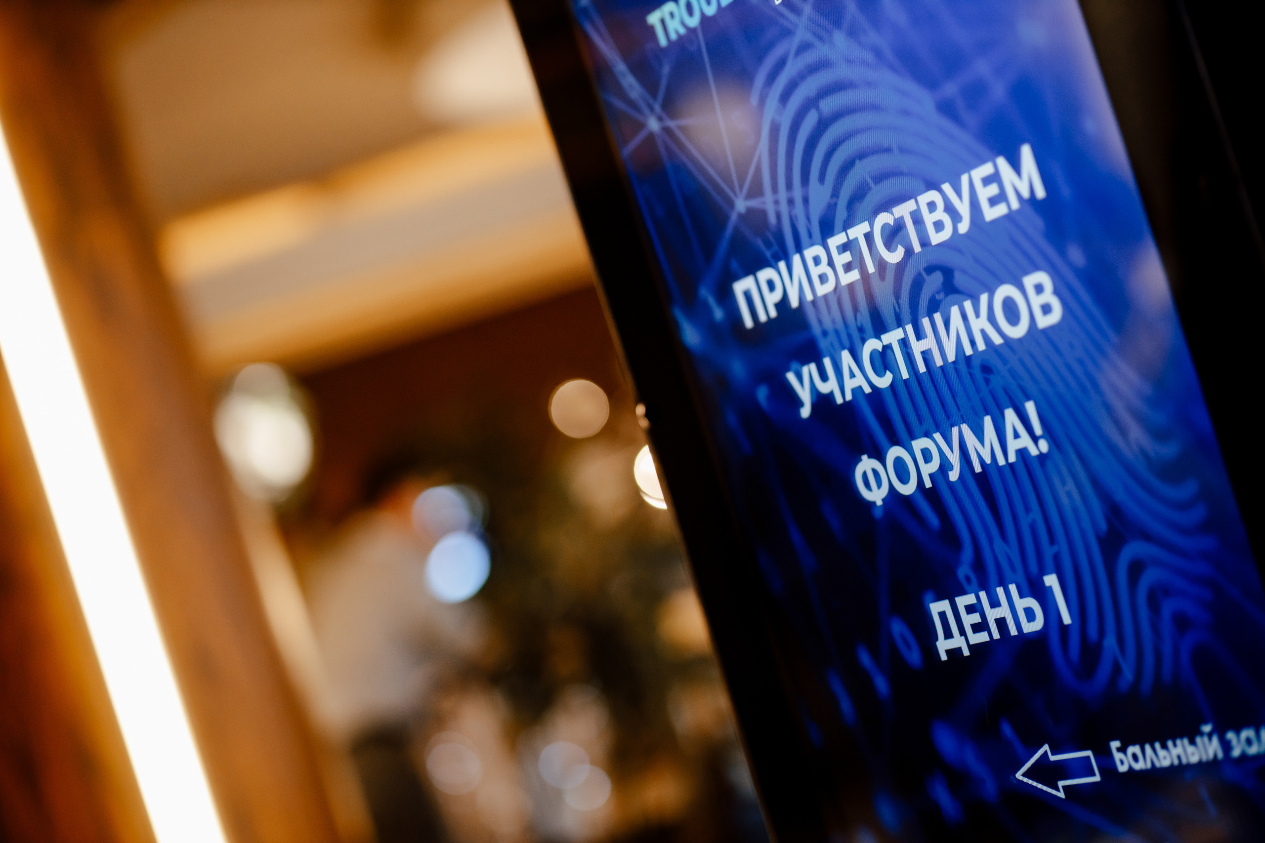 TROUBLESHOOTING Безопасность бизнеса. Свадебный фотограф Каледич Тимофей