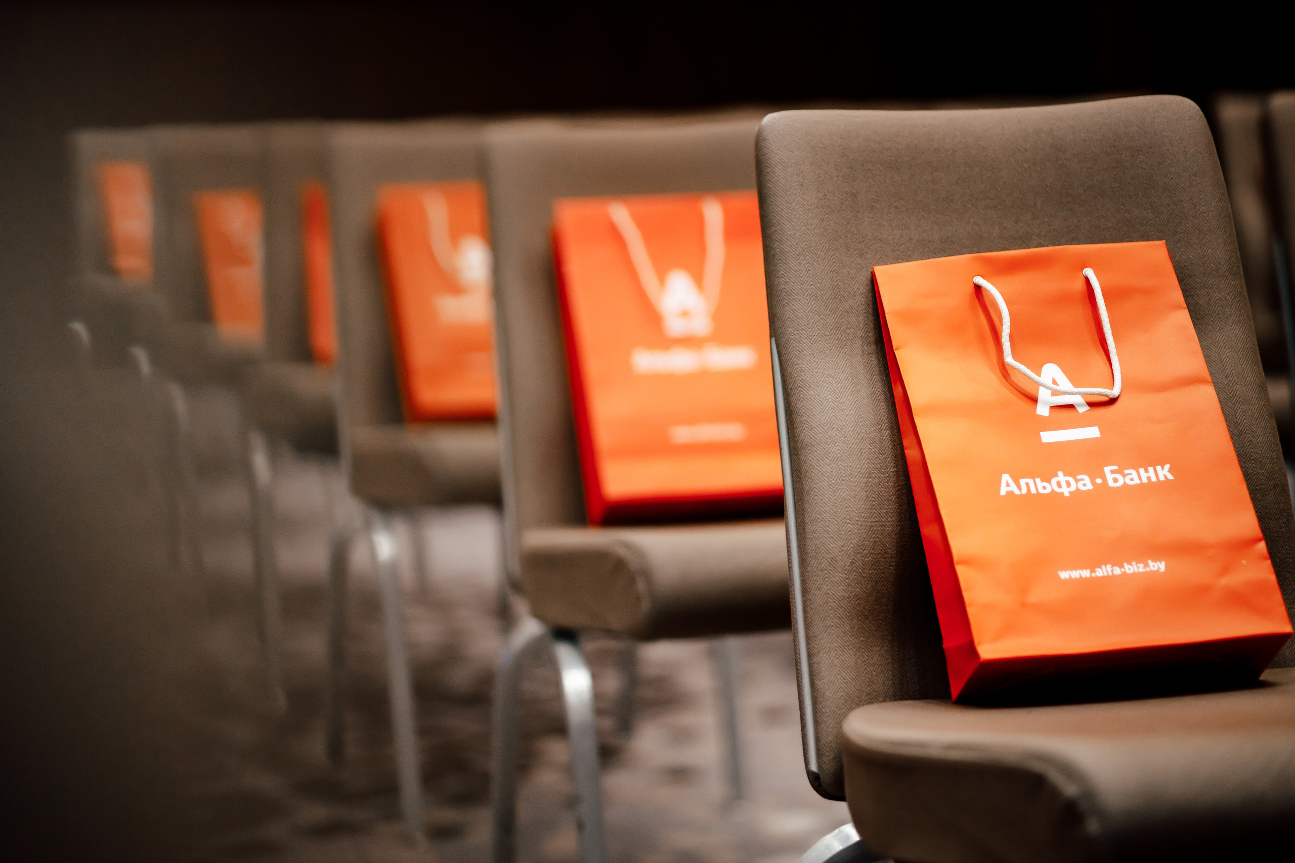 TROUBLESHOOTING Безопасность бизнеса. Свадебный фотограф Каледич Тимофей