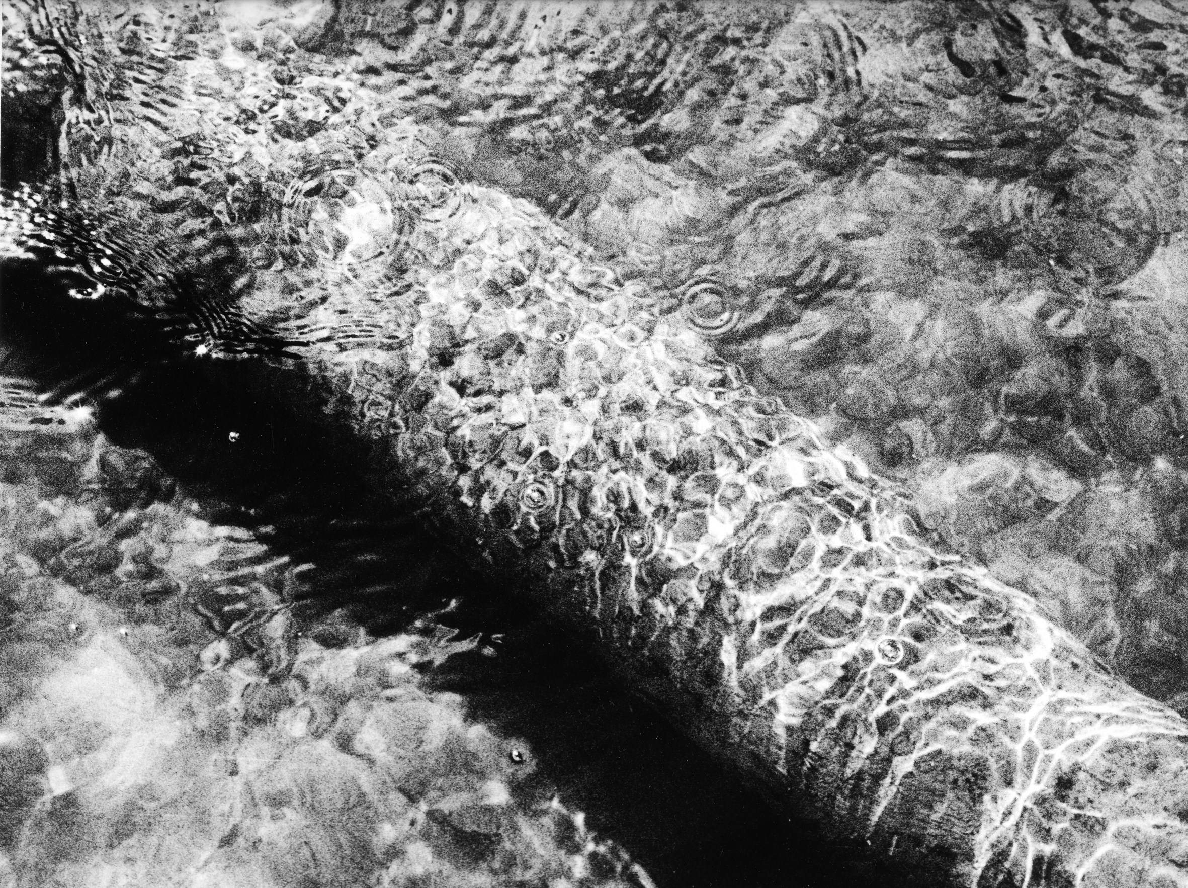 Separation project. Philipp Yelistratov