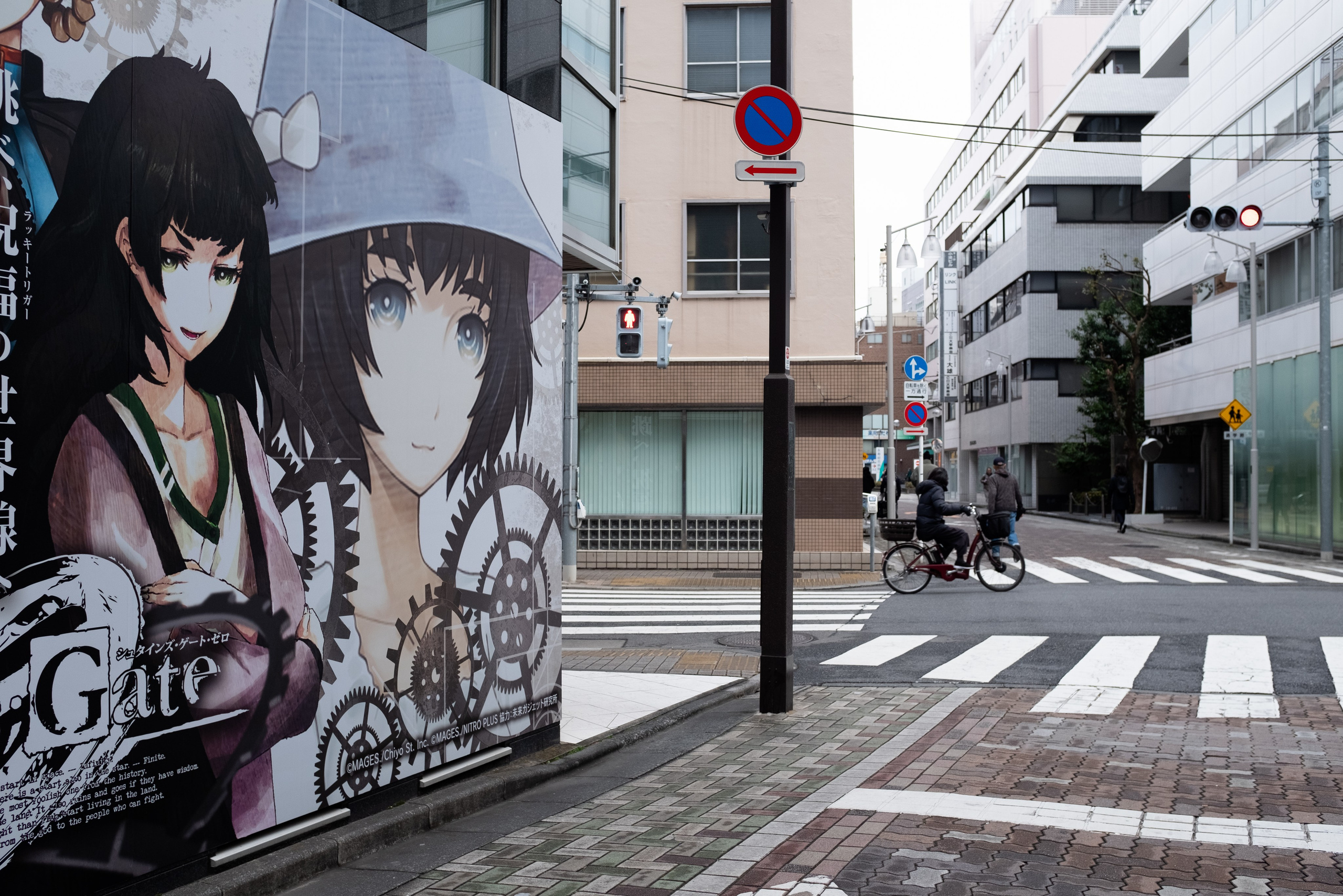 Tokyo. Regina Platonova