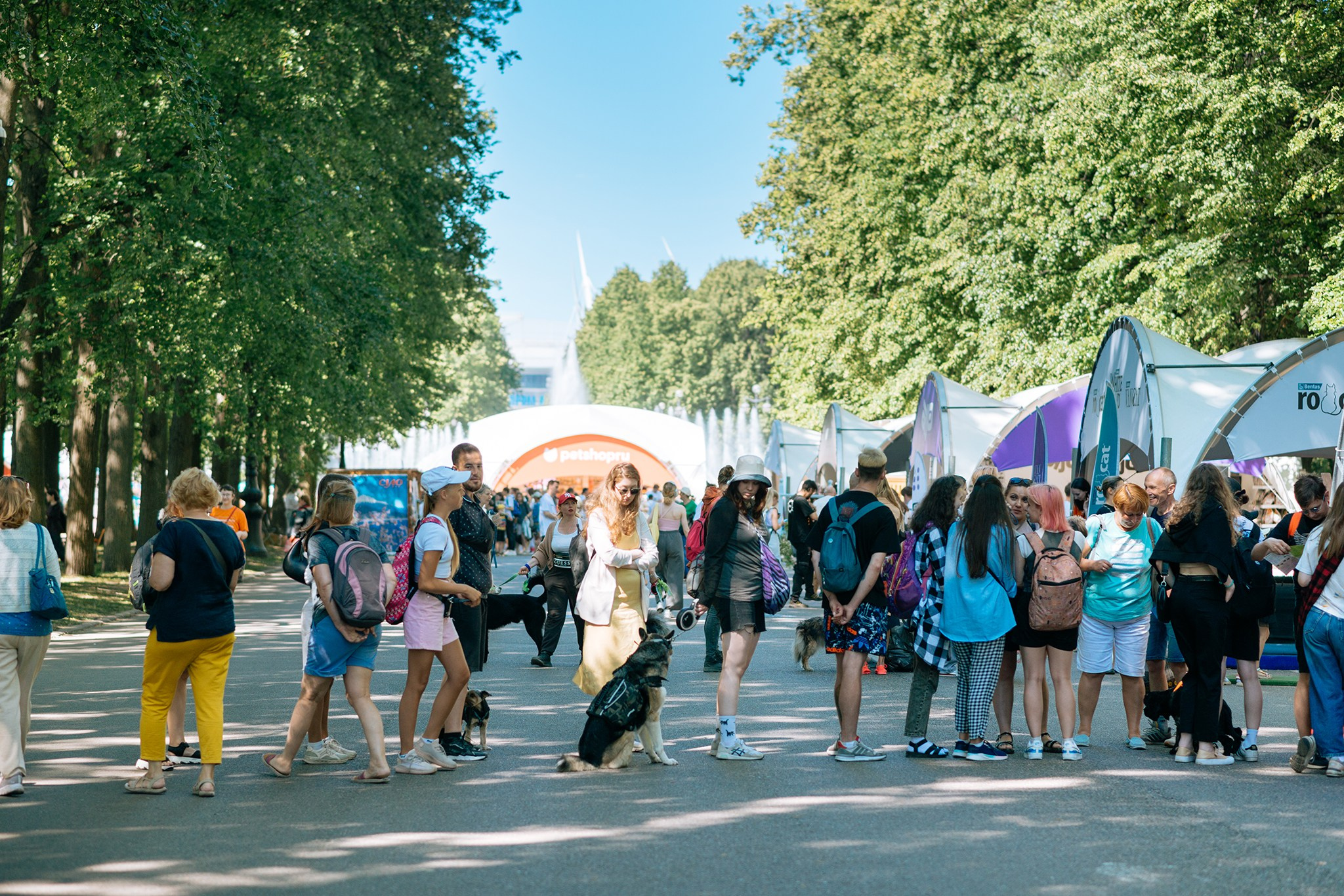 PETSHOP DAYS. Июнь 24. Репортажный фотограф в Санкт-Петербурге Анастасия Клёпова