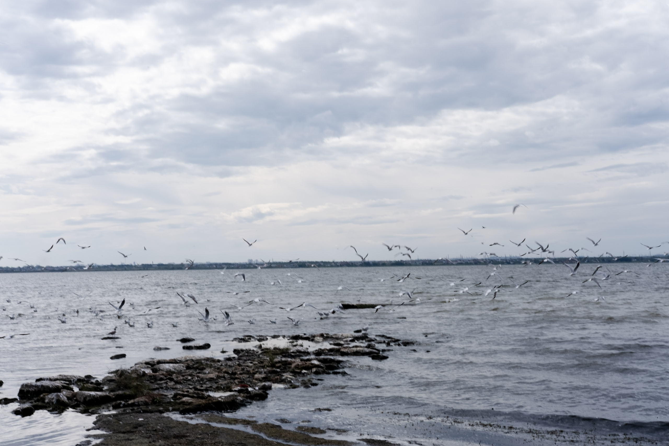 Михаил и Анна. Свадебный фотограф Челябинск