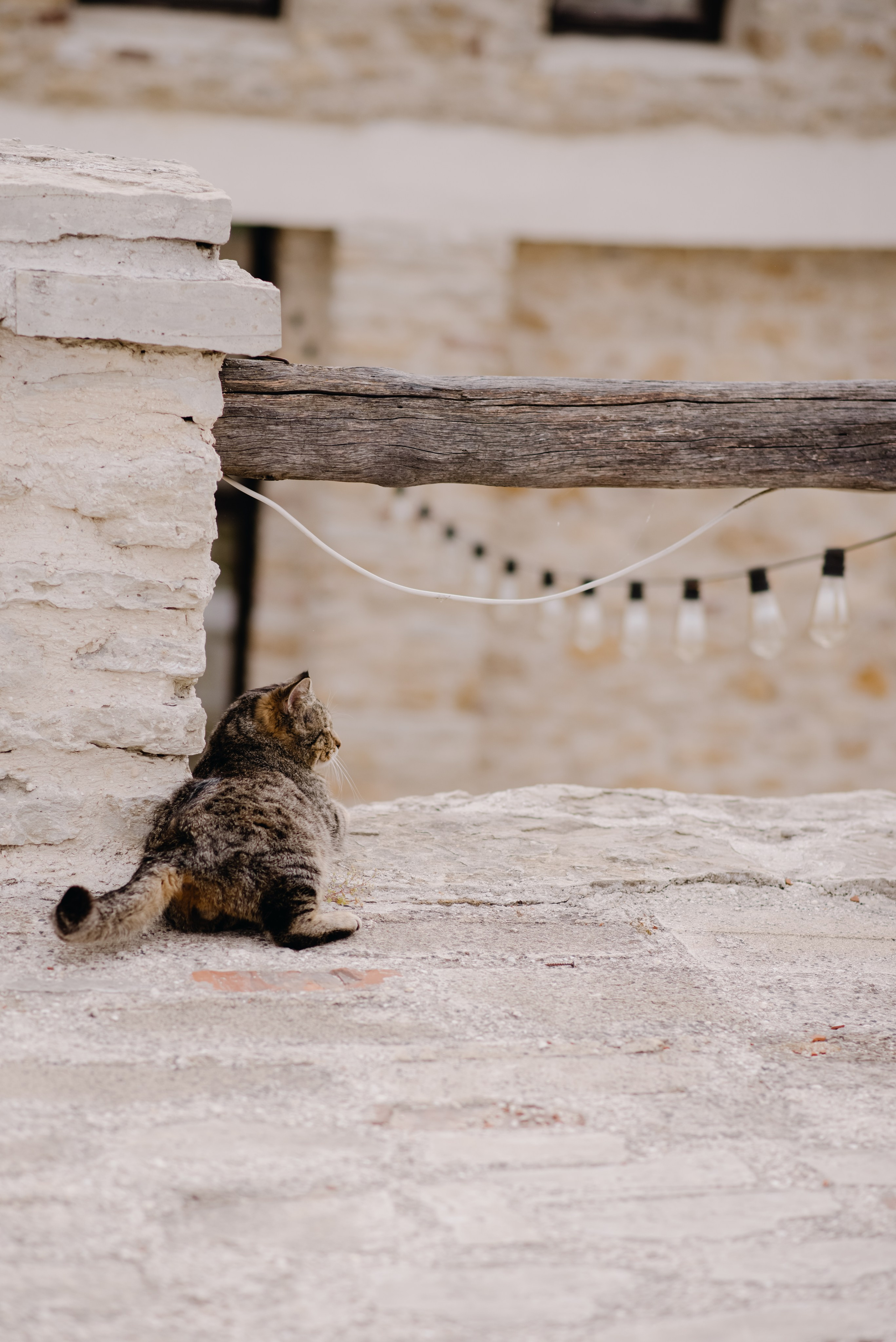 Прогулка в Шато Андре. Свадебный фотограф в Краснодаре и Сочи Комолова Екатерина