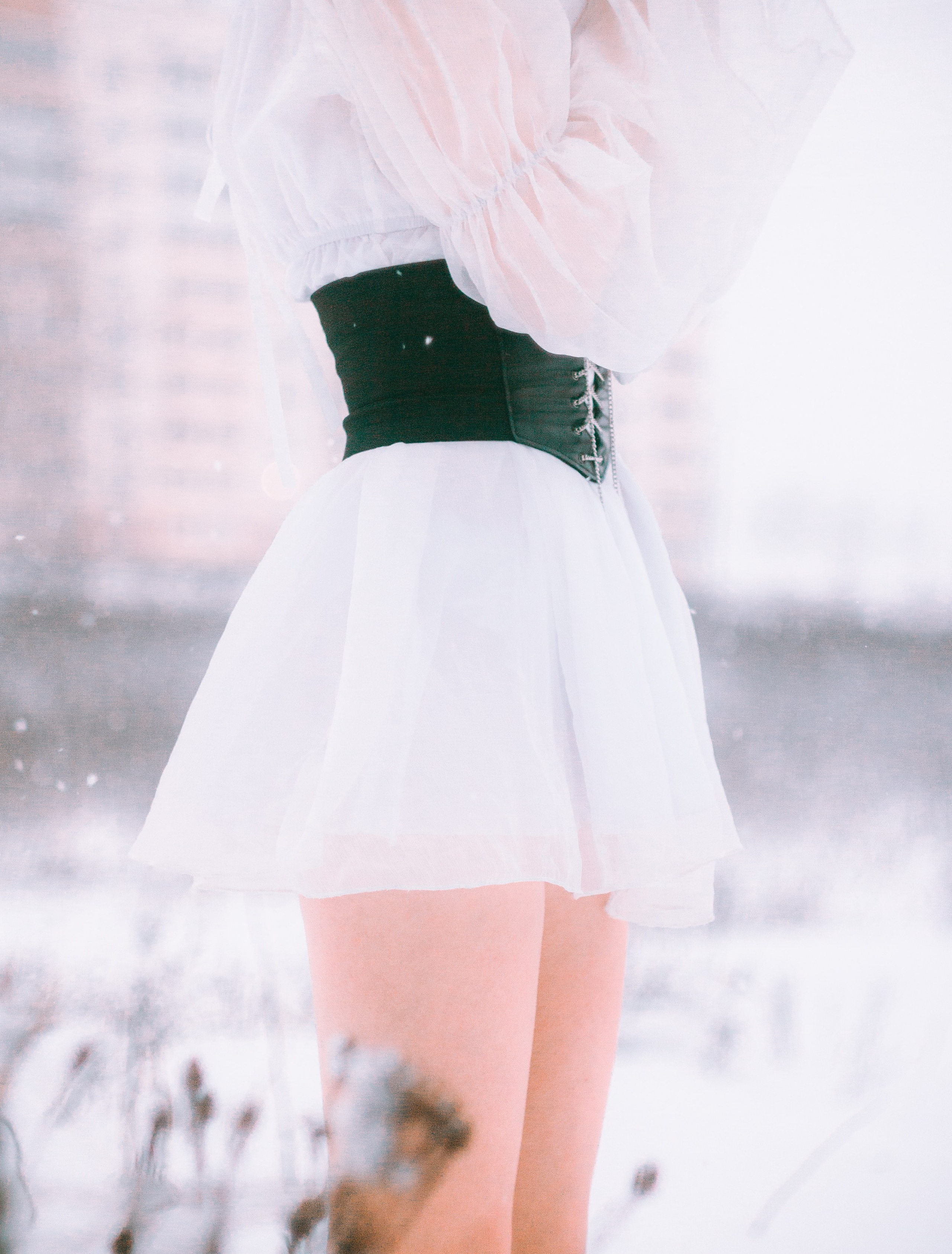 Elizaveta Rose | Forest