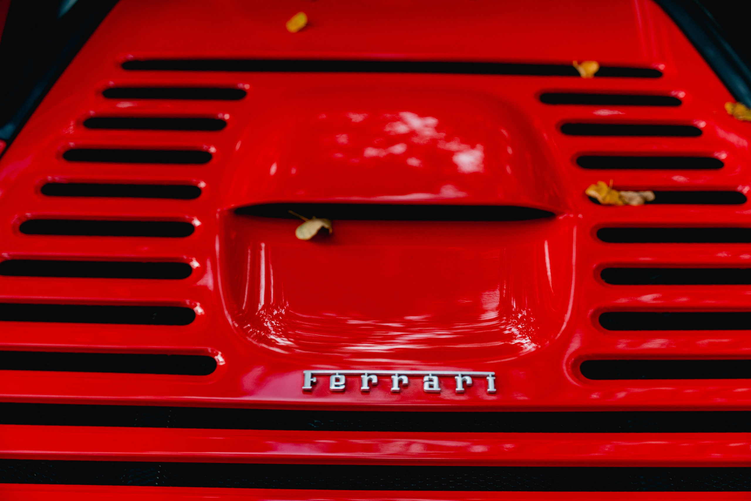 Автокультура. Архангельское. Станислав Тюрин Фотограф Москва. Индивидуальные и семейные фотосессии;