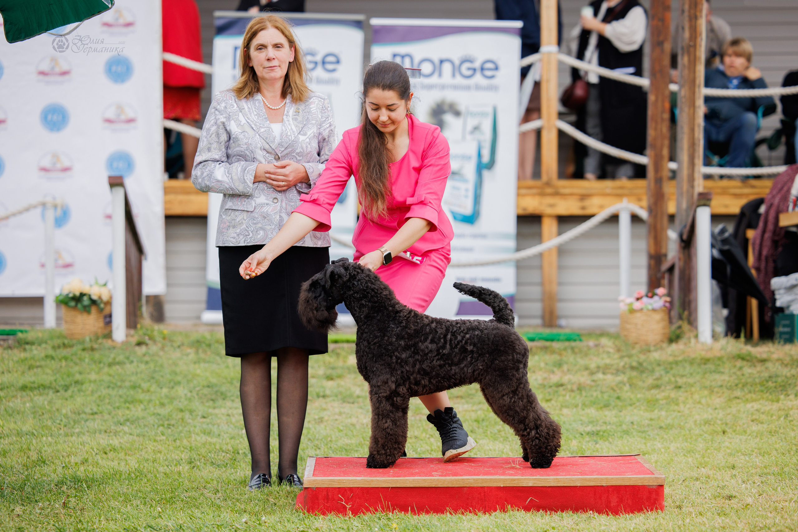 Армения,Ереван 3хCACIB 15-17.10.2024. Фотограф-анималист Юлия Германика