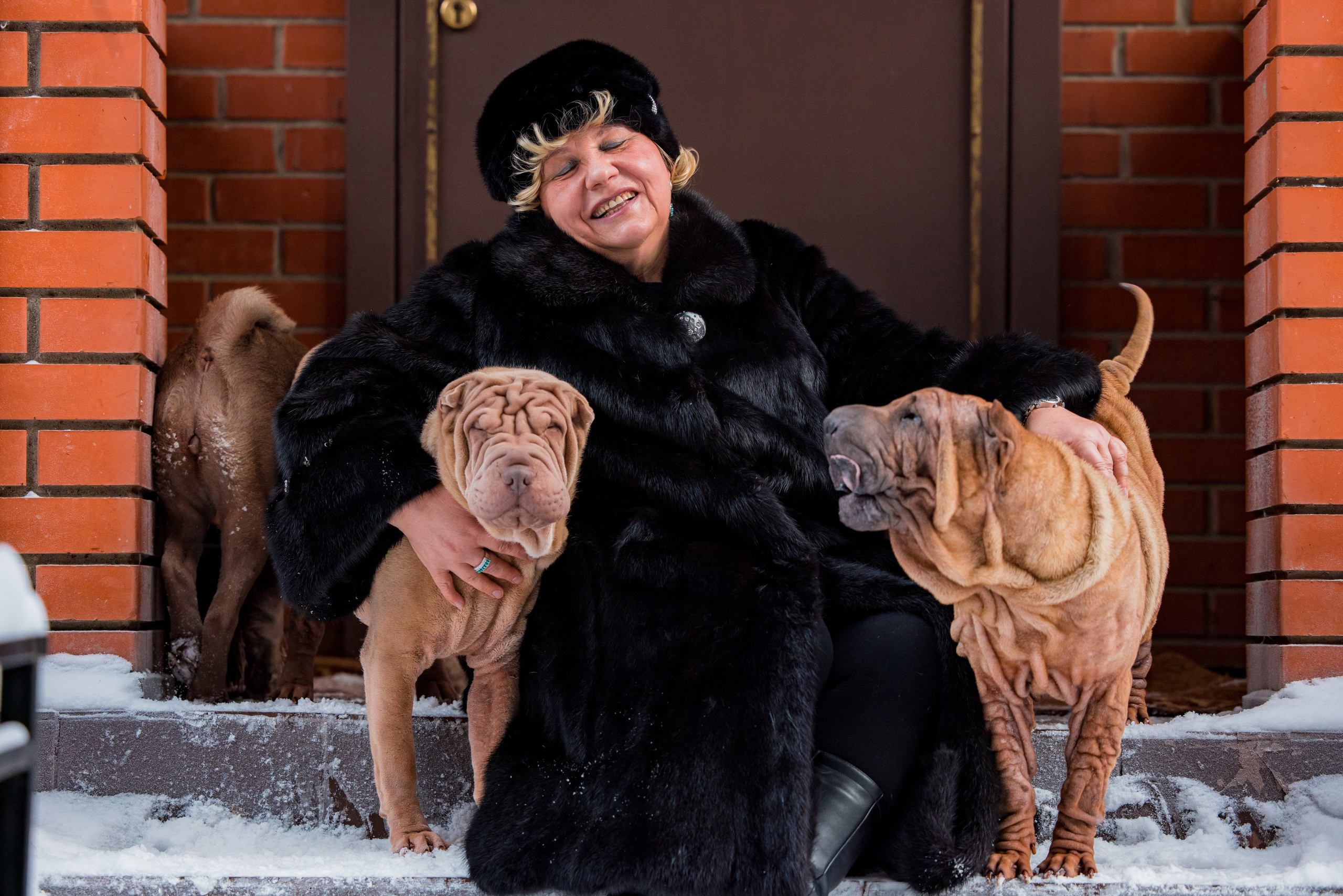 В гостях у шарпеев 16.01.2024. Фотограф-анималист Юлия Германика