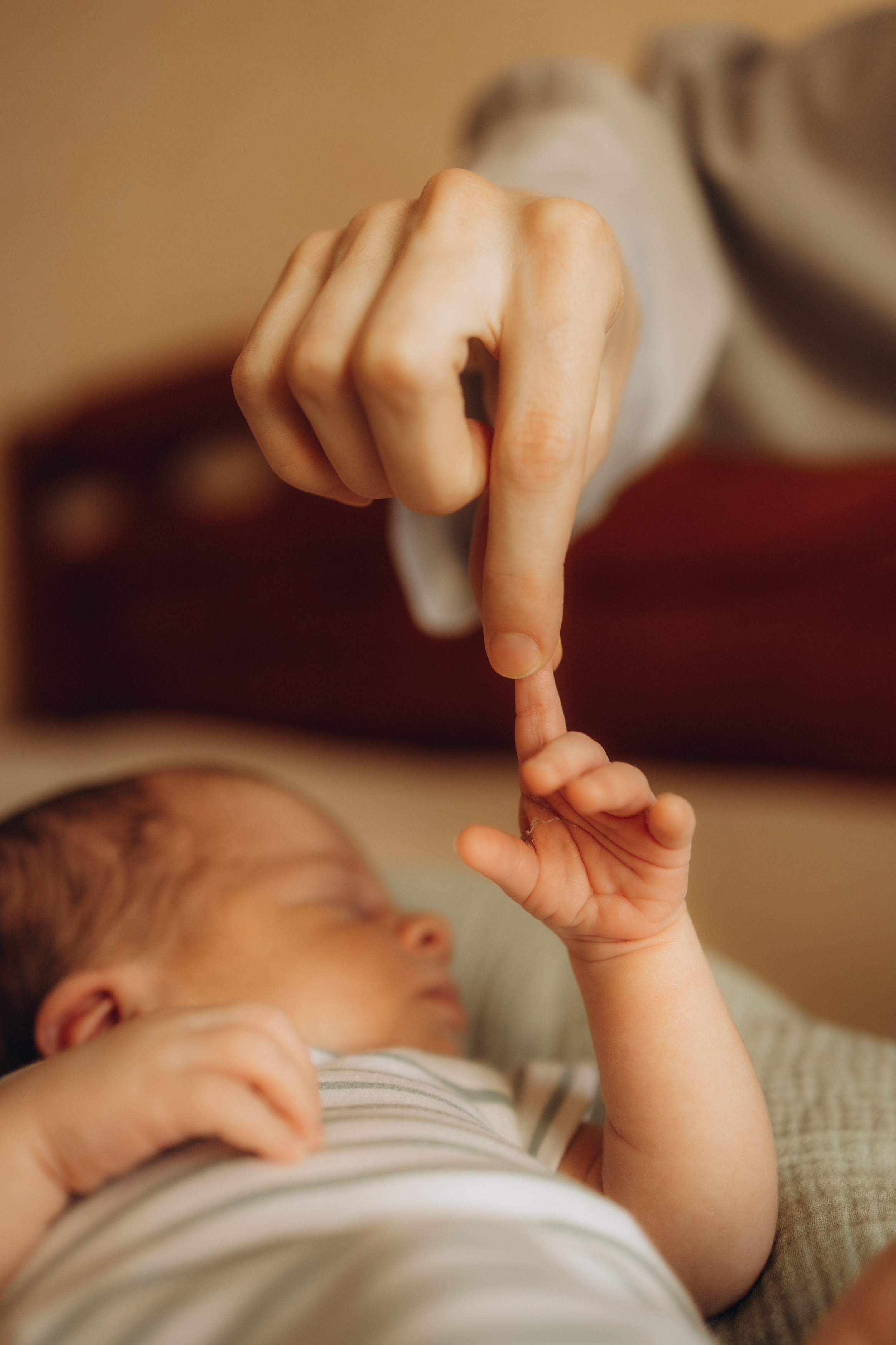 фотосессия новорожденного, фотосессия новорожденных, ньюборн, пушкин, павловск, спб, семейная фотосессия