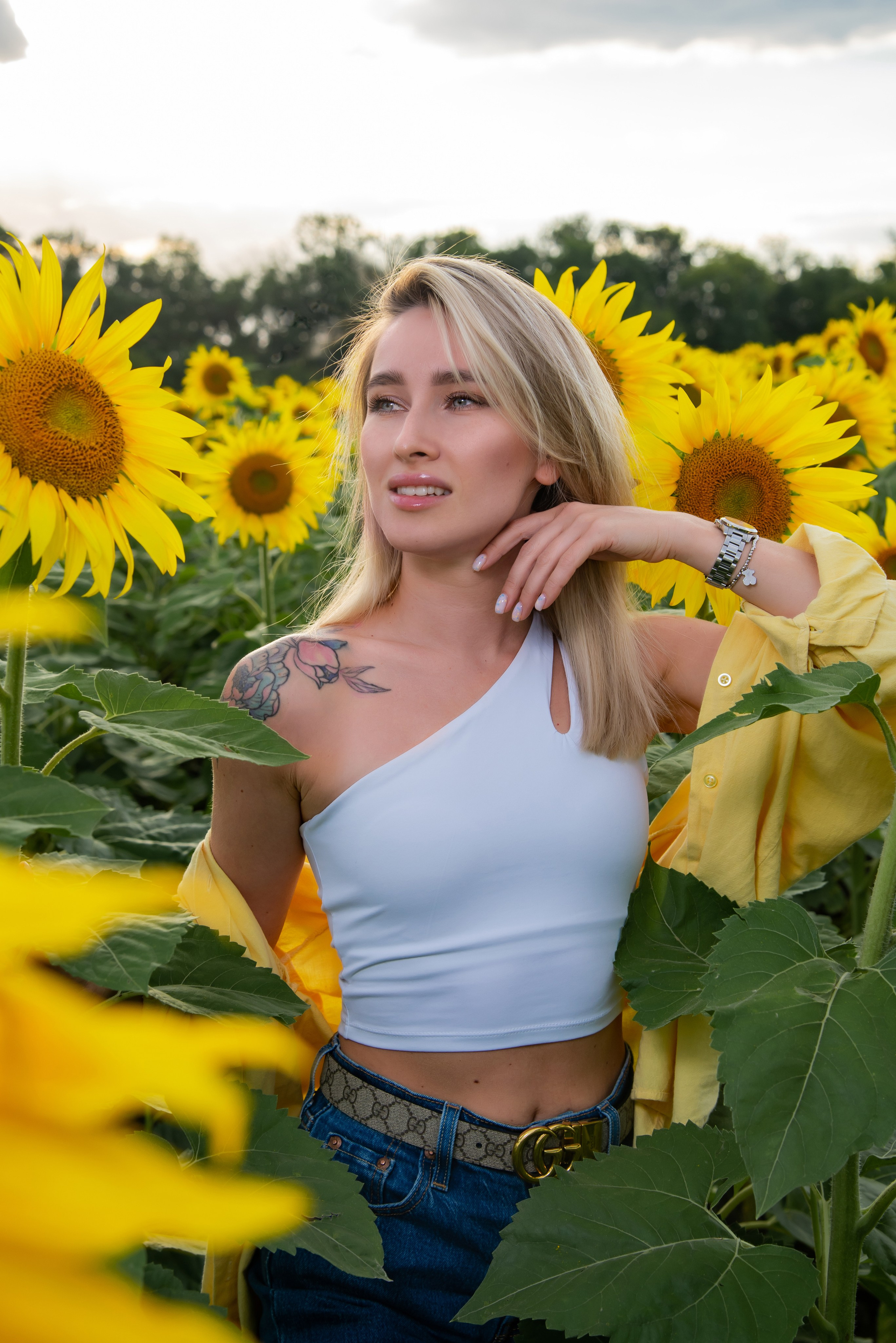 Подсолнух. Фотограф Галина Нестерова