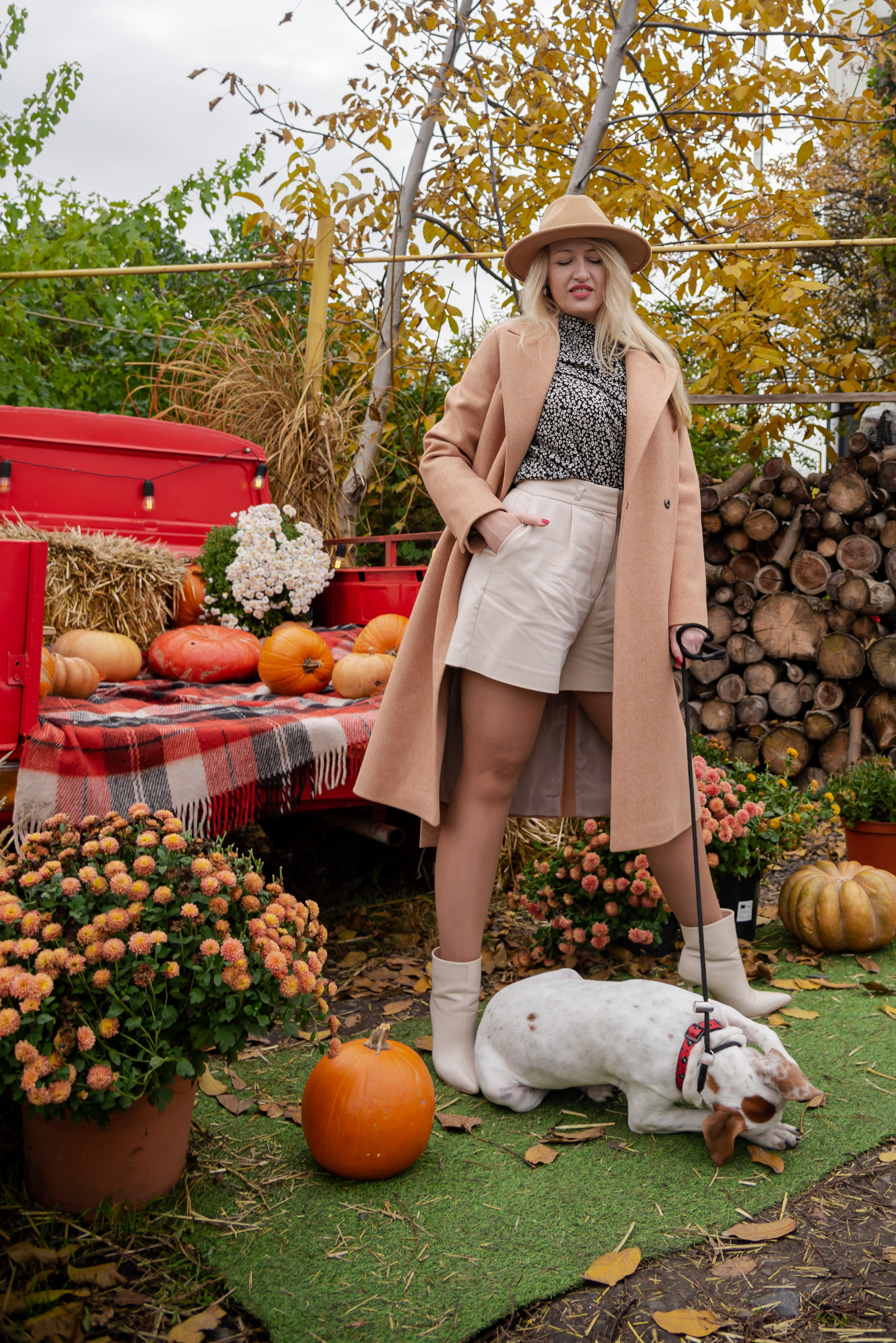 Авакадо. Фотограф Галина Нестерова