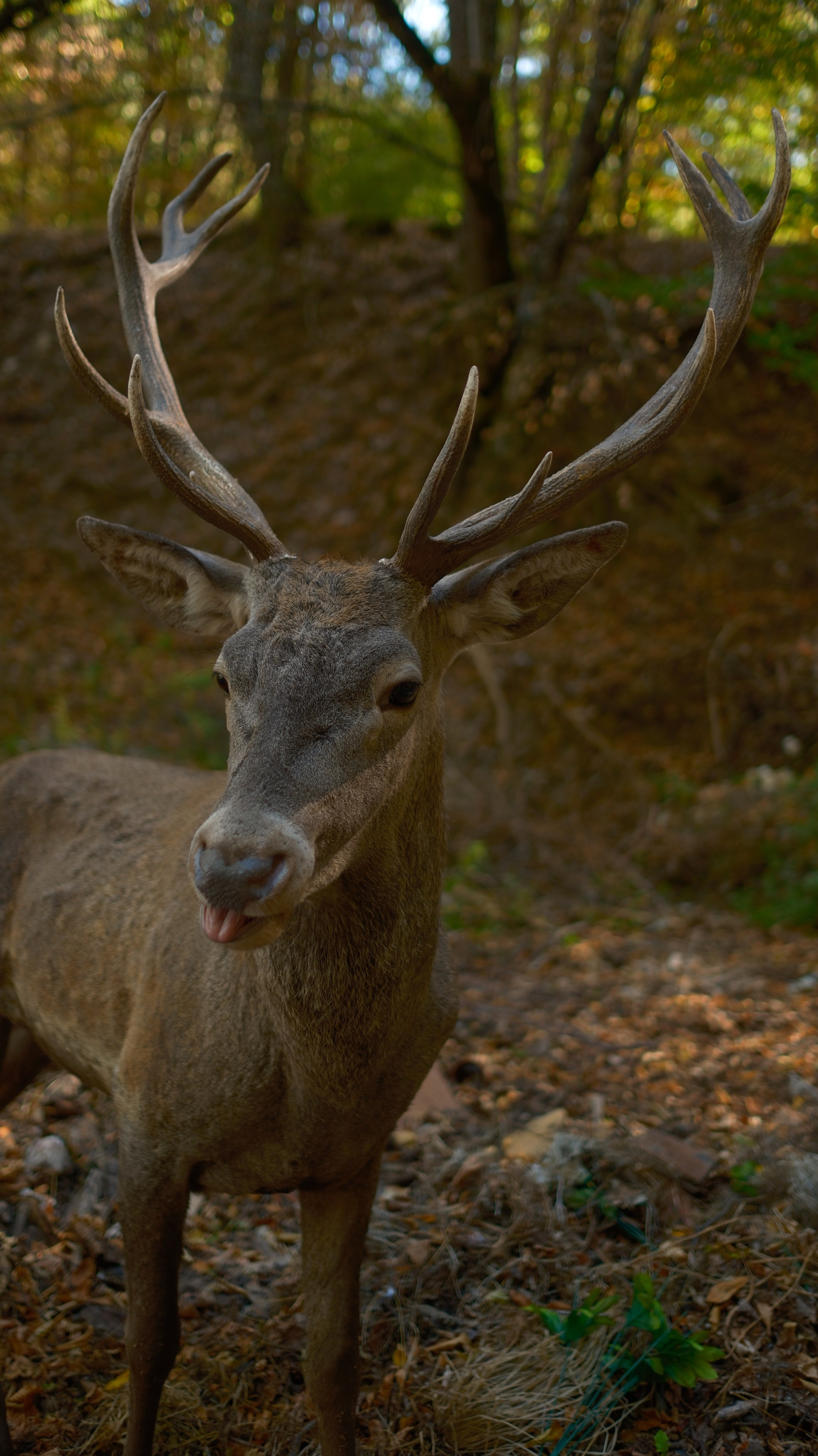 Хочу в Национальный Парк «Крымский». Гид и фотограф в Крыму Сергей Соколов