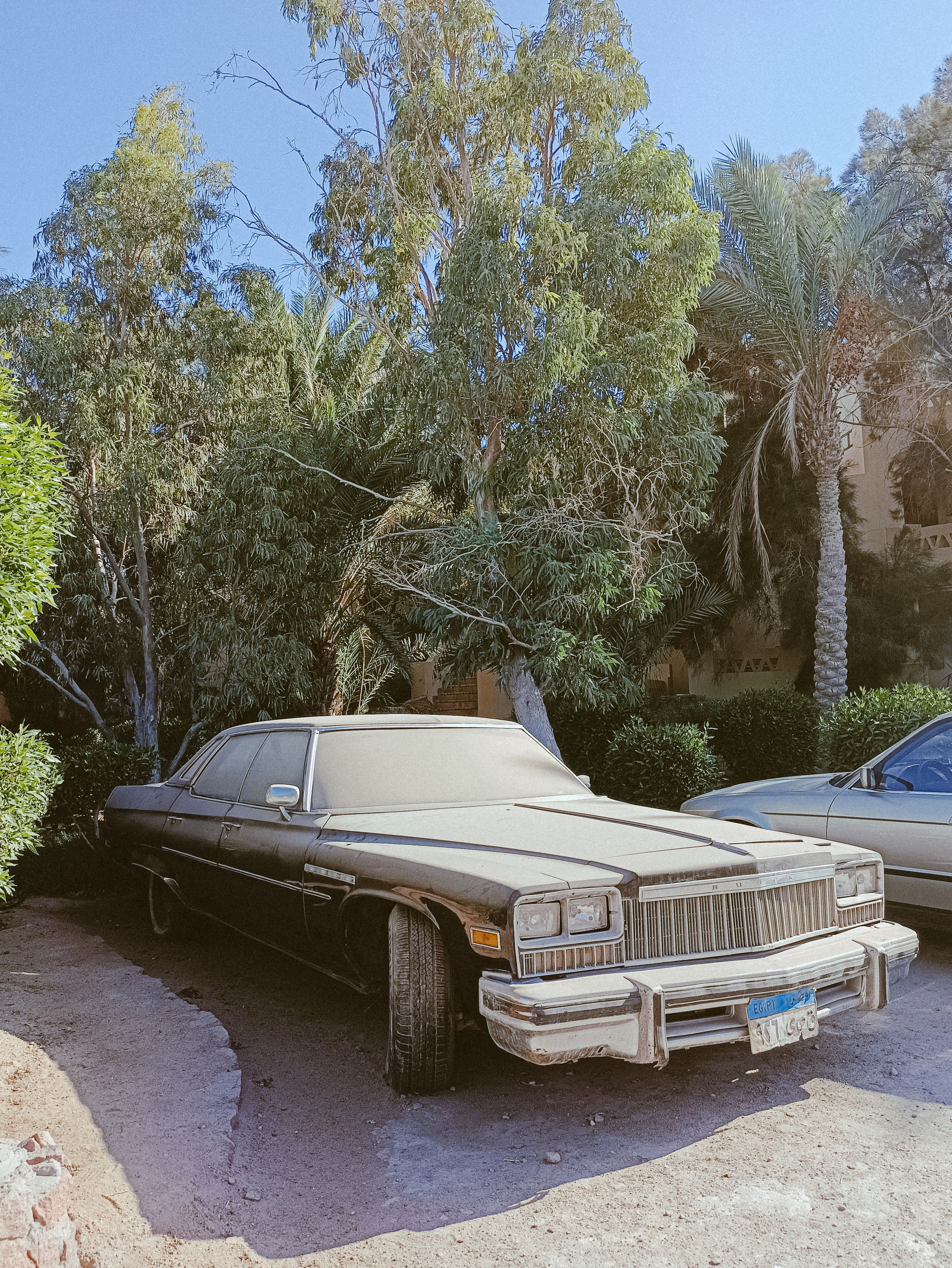 Мобильная. Jorgis — фотограф в Хургаде / обучение фотографии