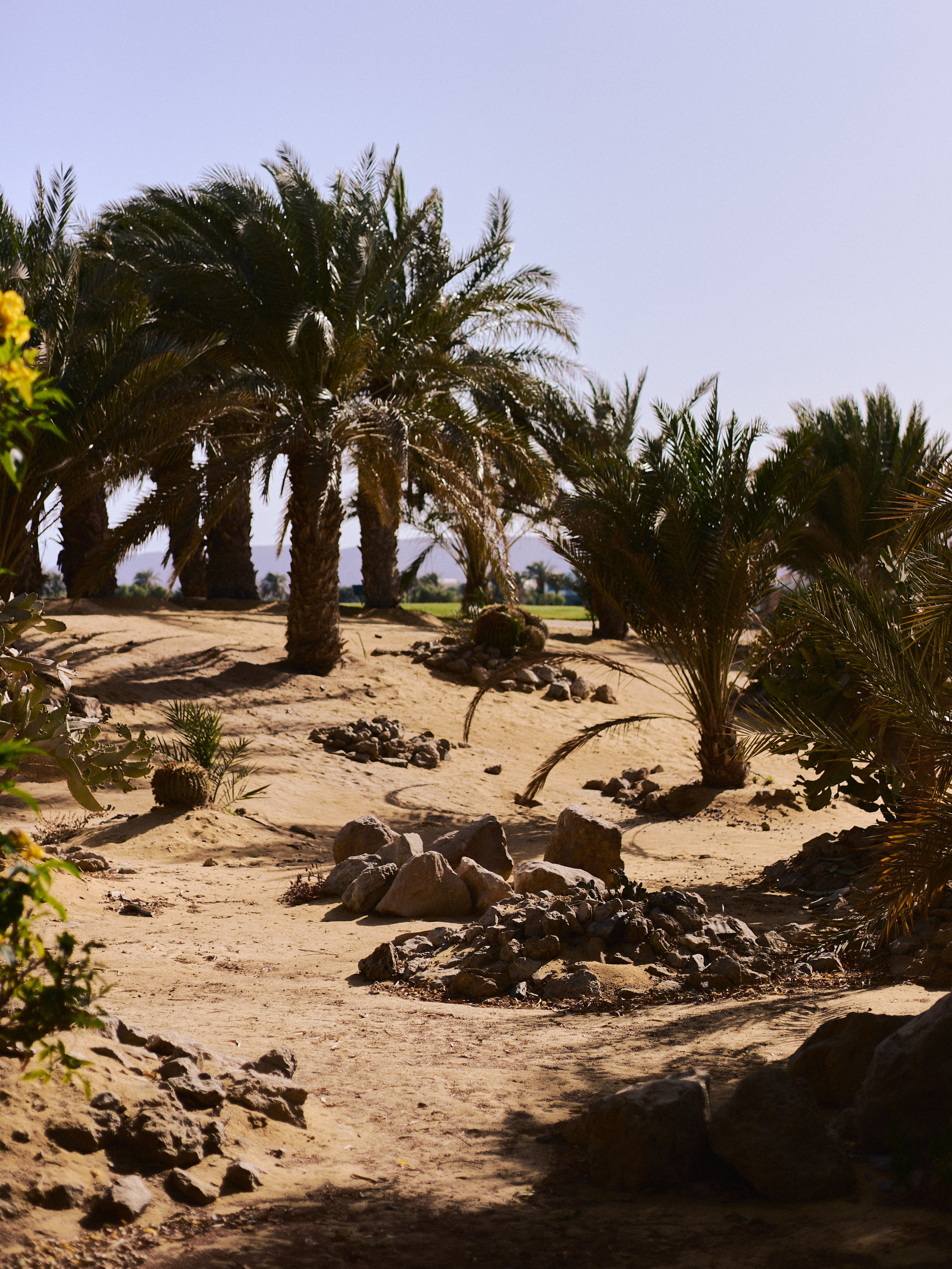 Другое 2. Jorgis Talè — photographer, kind person, teacher of arts and other mag