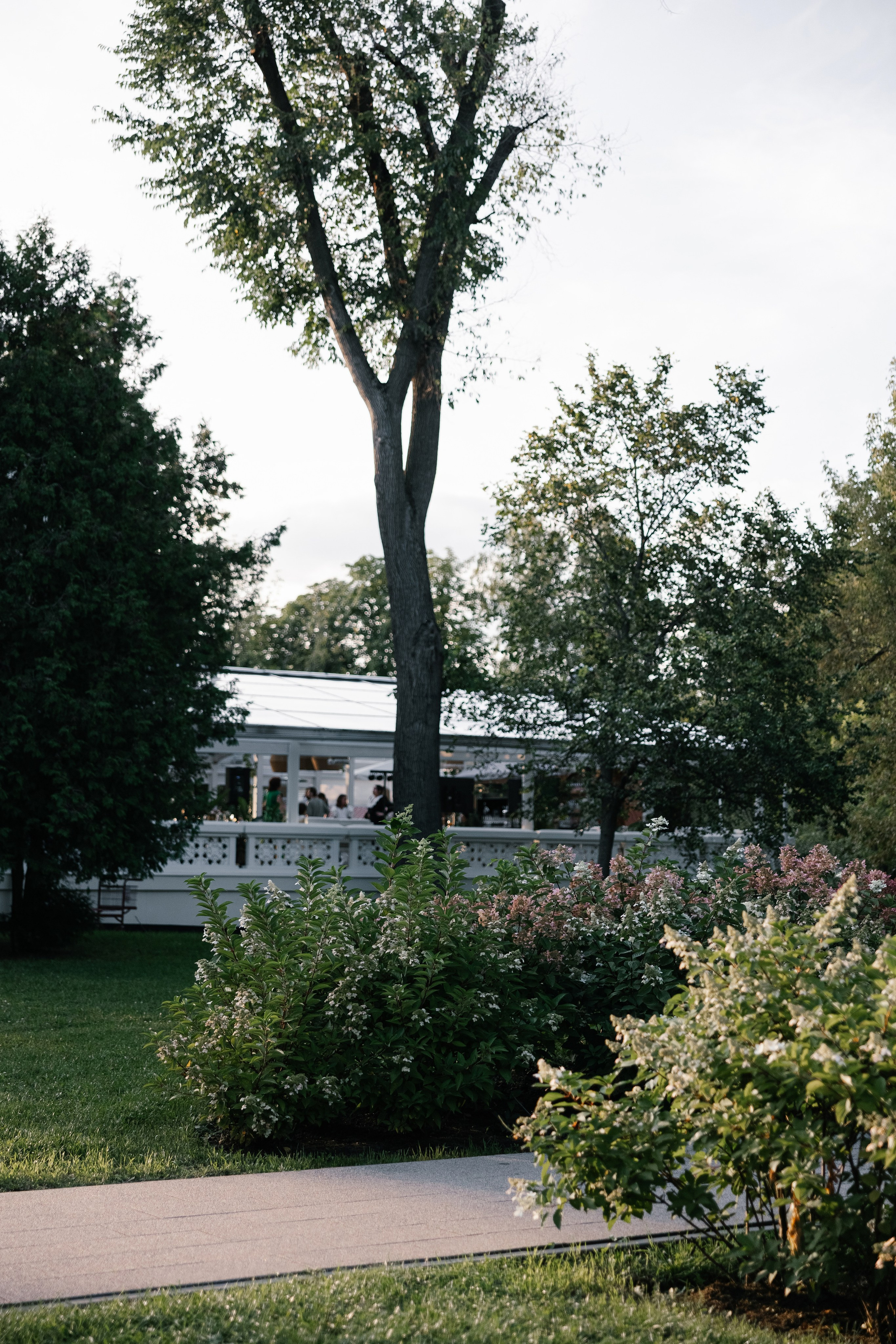 Наталья и Николай: Домик в саду. Свадебный фотограф Москва
