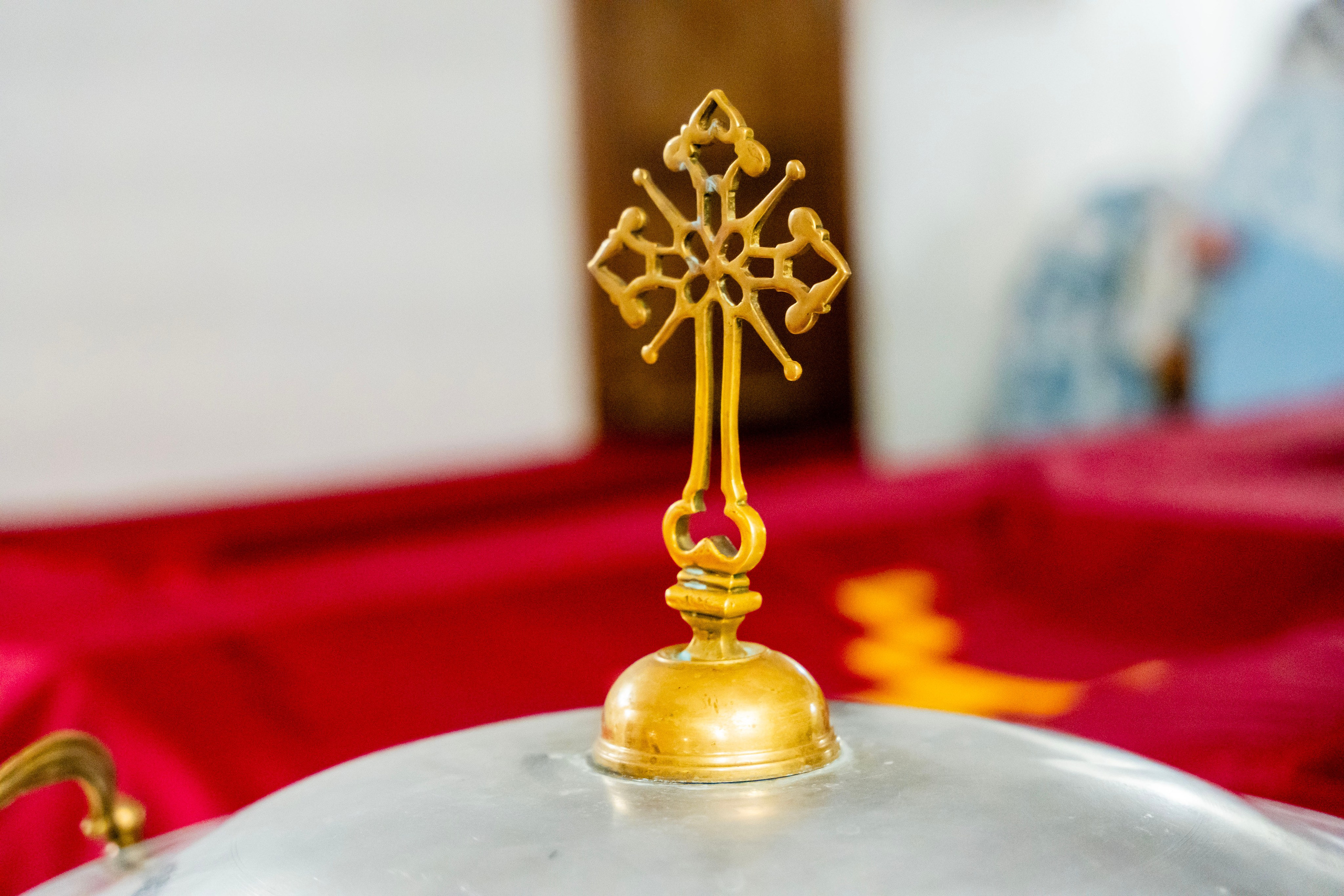 Крещение Льва. Фотограф Юлия Попова