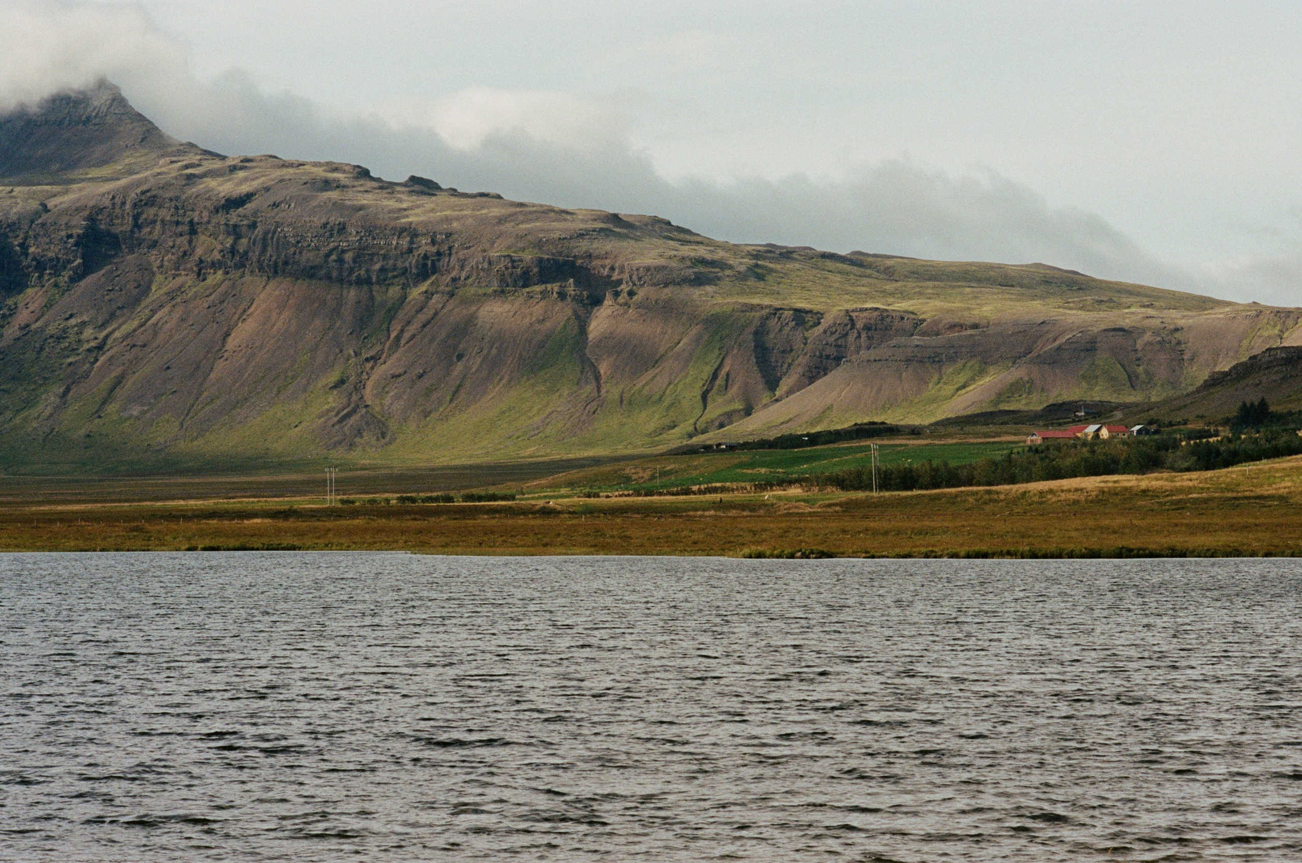 Vor i vaglaskogi // iceland, 724. EVER EXPOSED