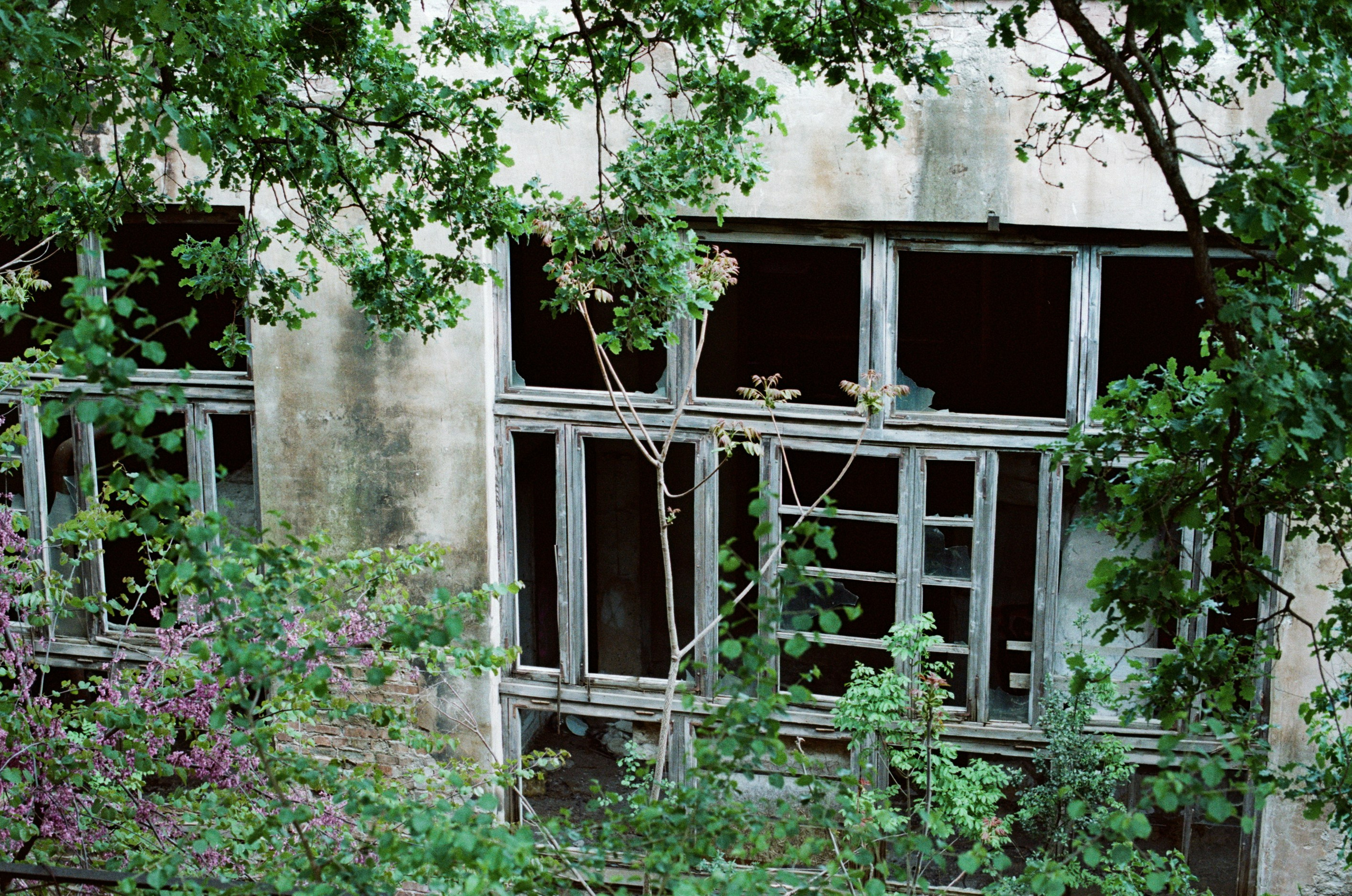 Silver strings // ukraine, crimea. EVER EXPOSED