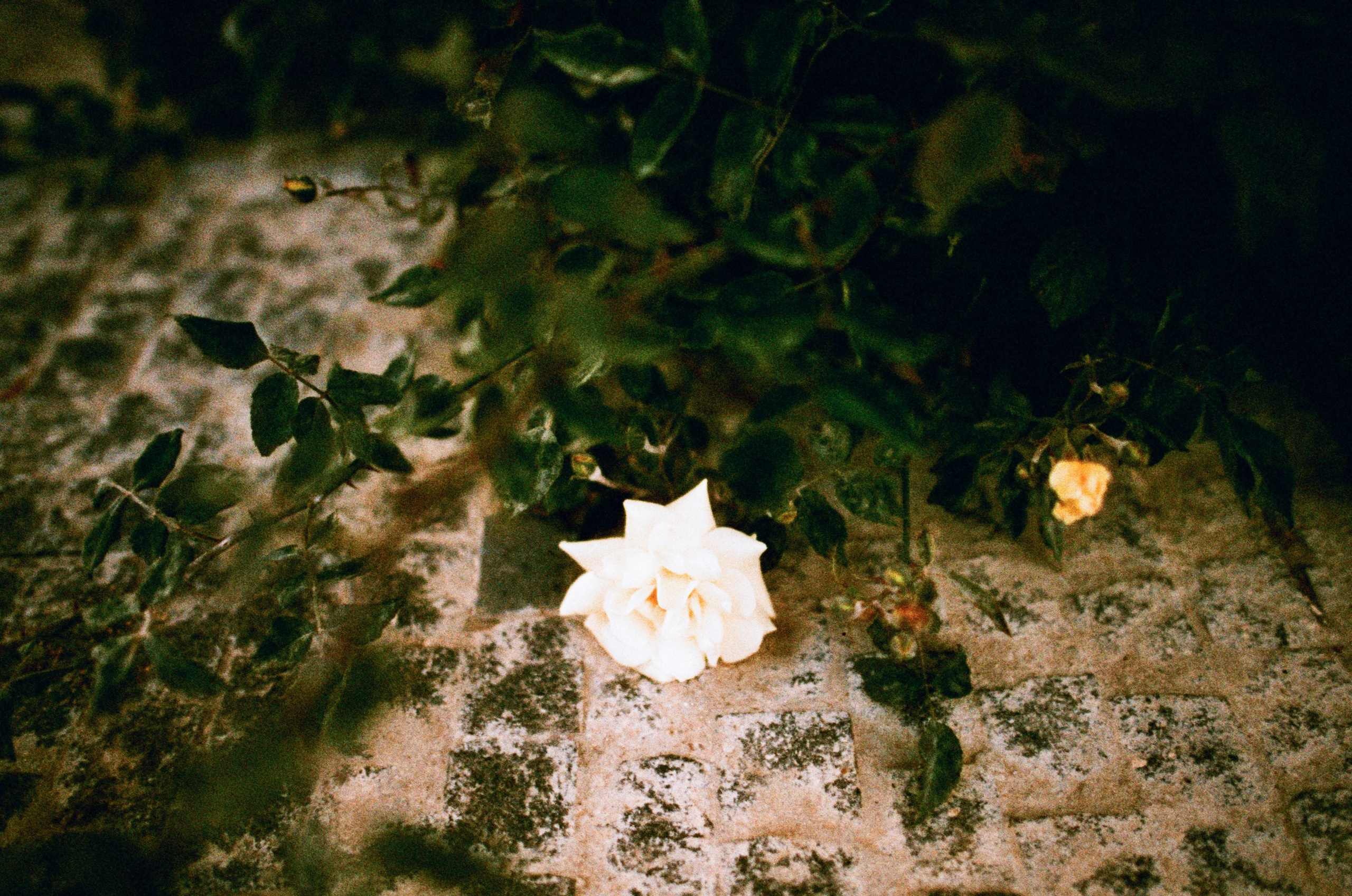 Press enter to exit // ukraine, crimea. EVER EXPOSED