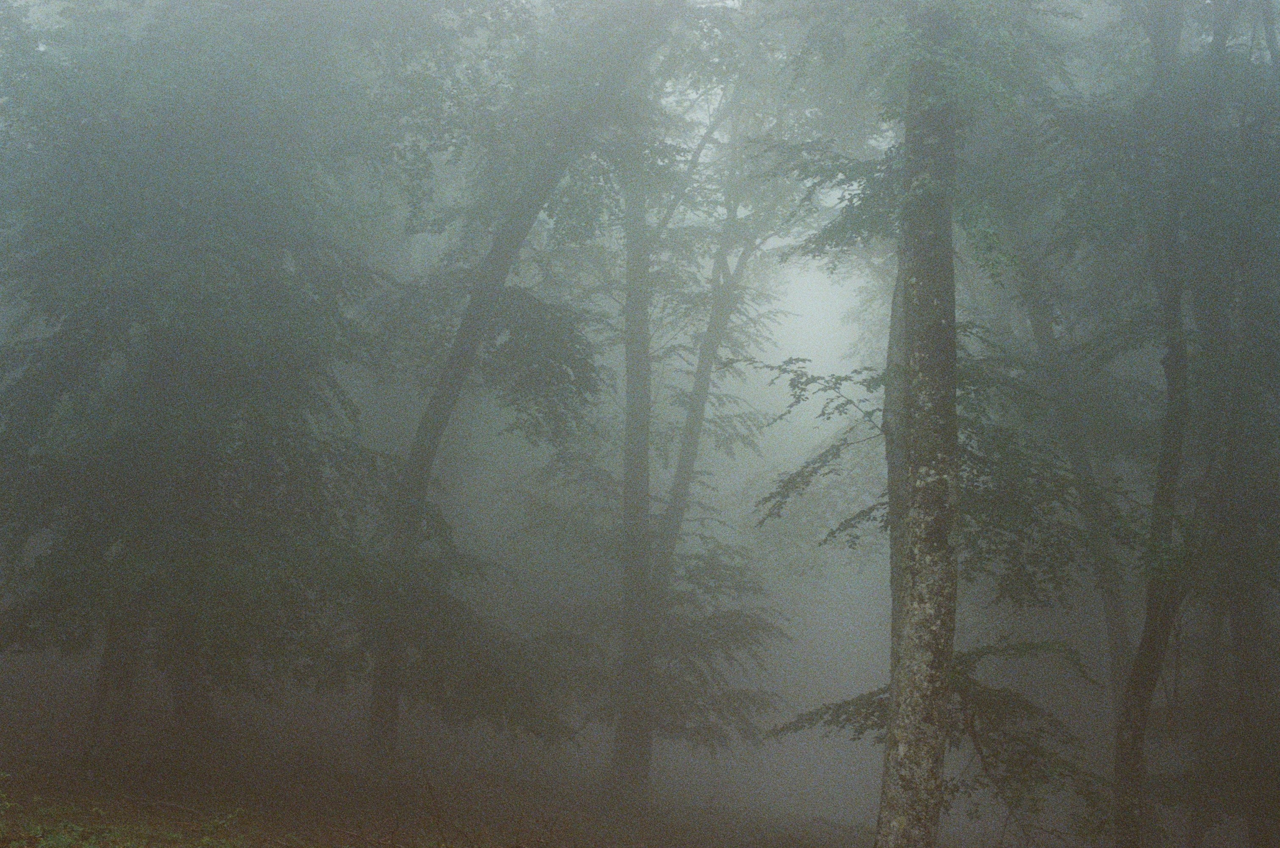 Dig it // ukraine, crimea II. EVER EXPOSED