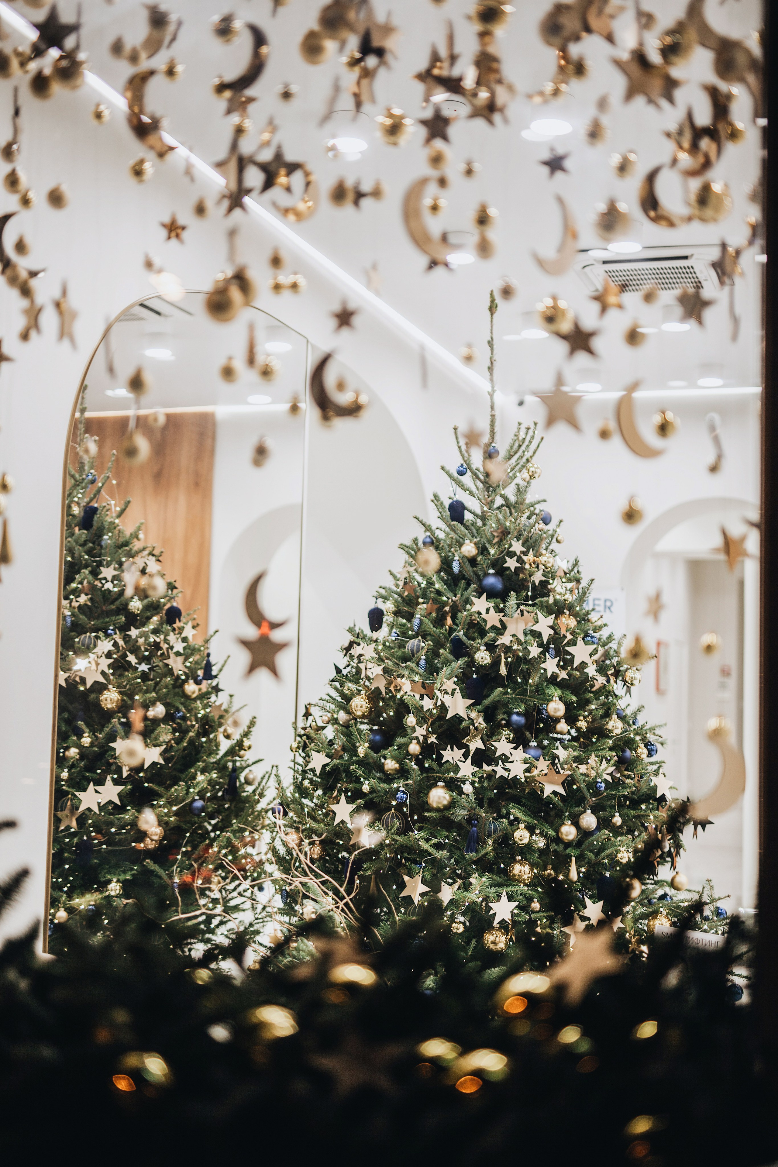 Тисс 2023. Ксения Почтарь. Декоратор и флорист, город Владивосток