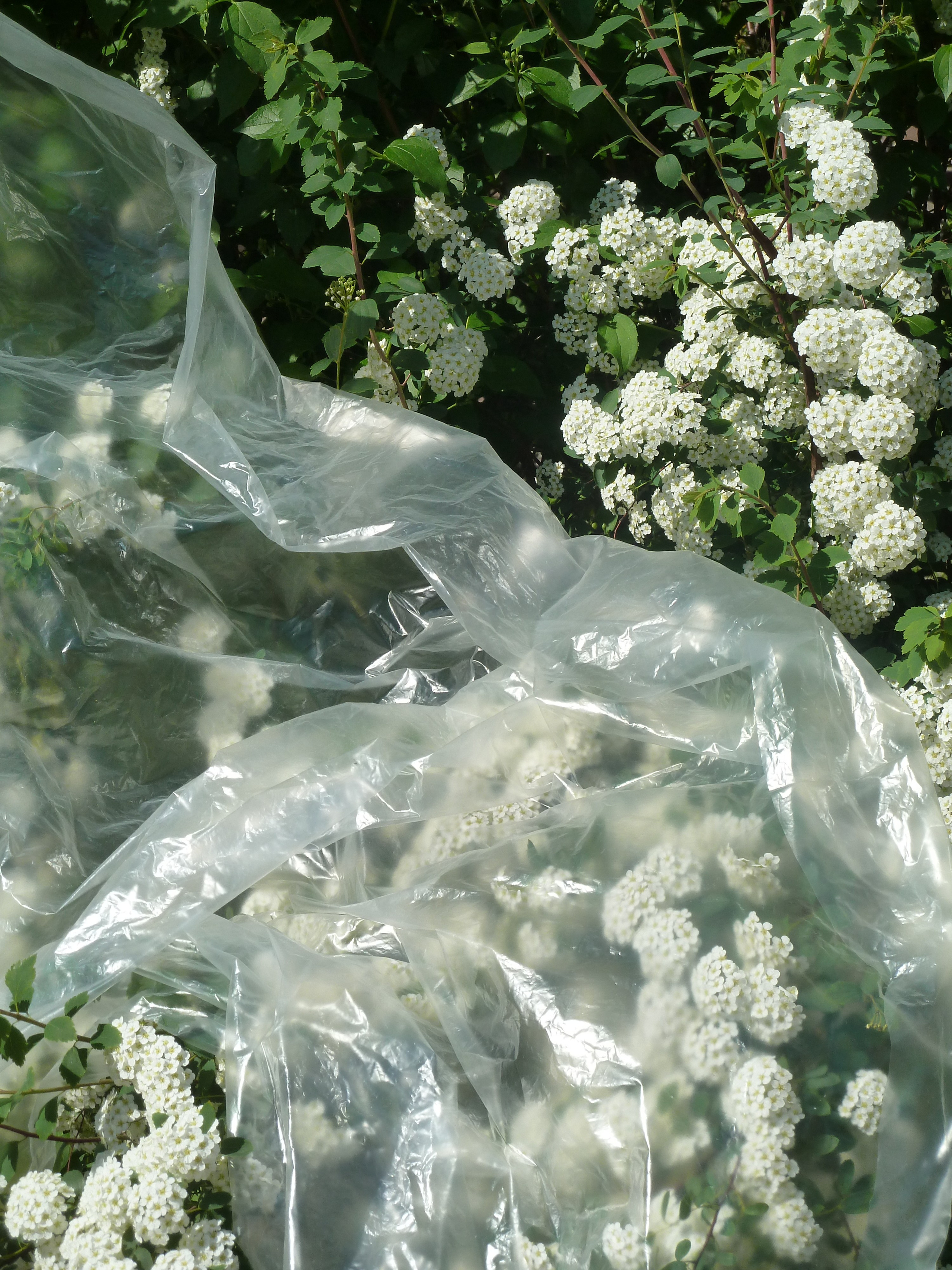 Urban extensions. Art direction & Design | Curiosa