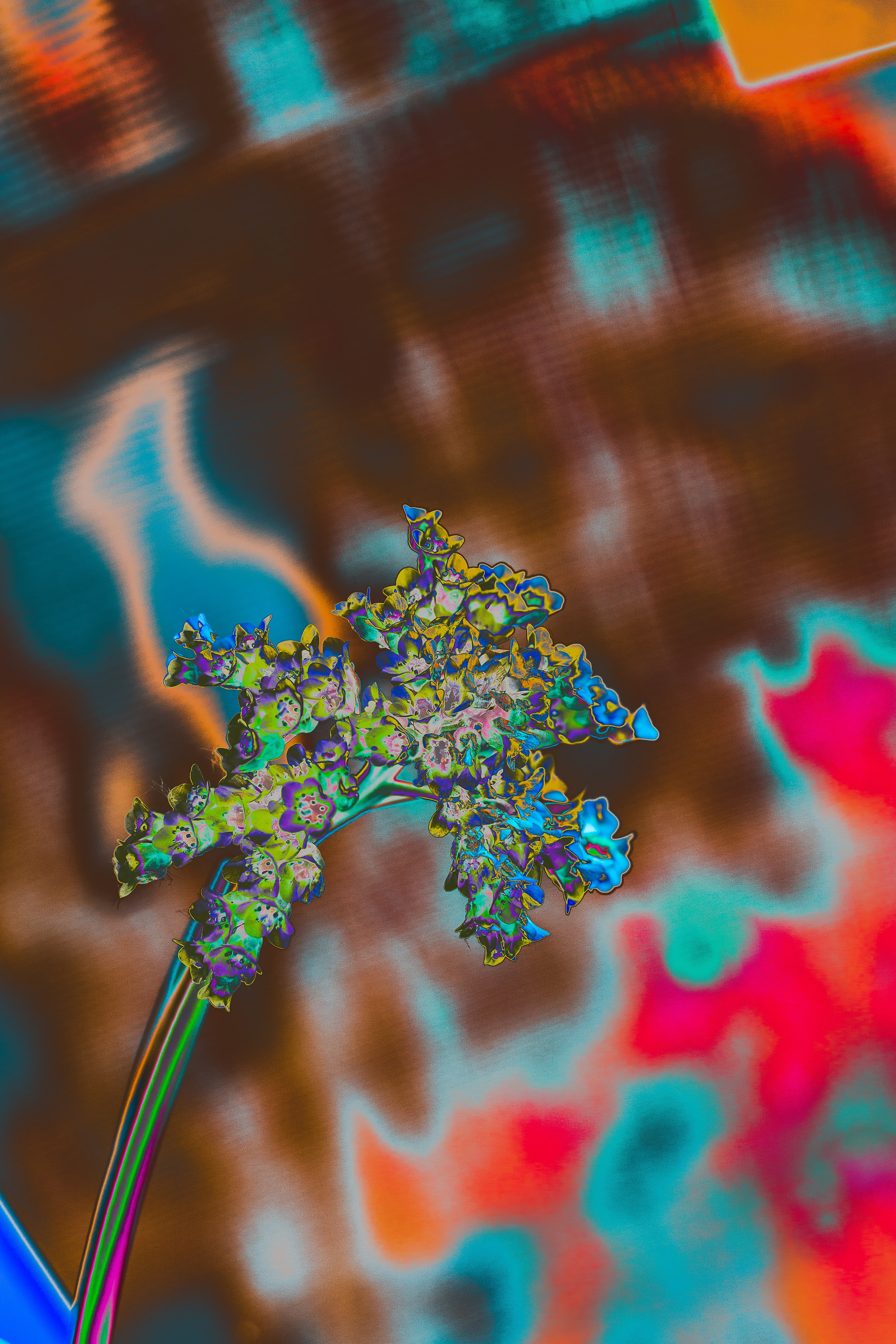 NON-EXISTENT FLOWERS. Фотограф Евгений Чащихин RGB АРХИТЕКТОР в Перми