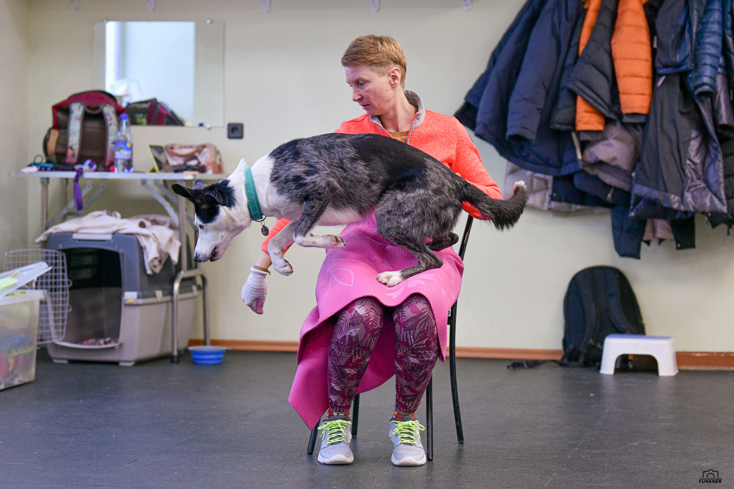 Кинологический клуб «Бодрый хвост». Свой взгляд через объектив