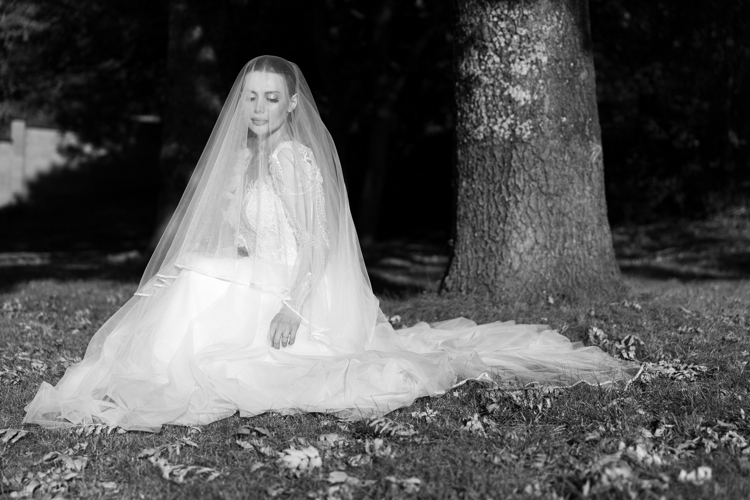 Р&Г. Свадебный фотограф